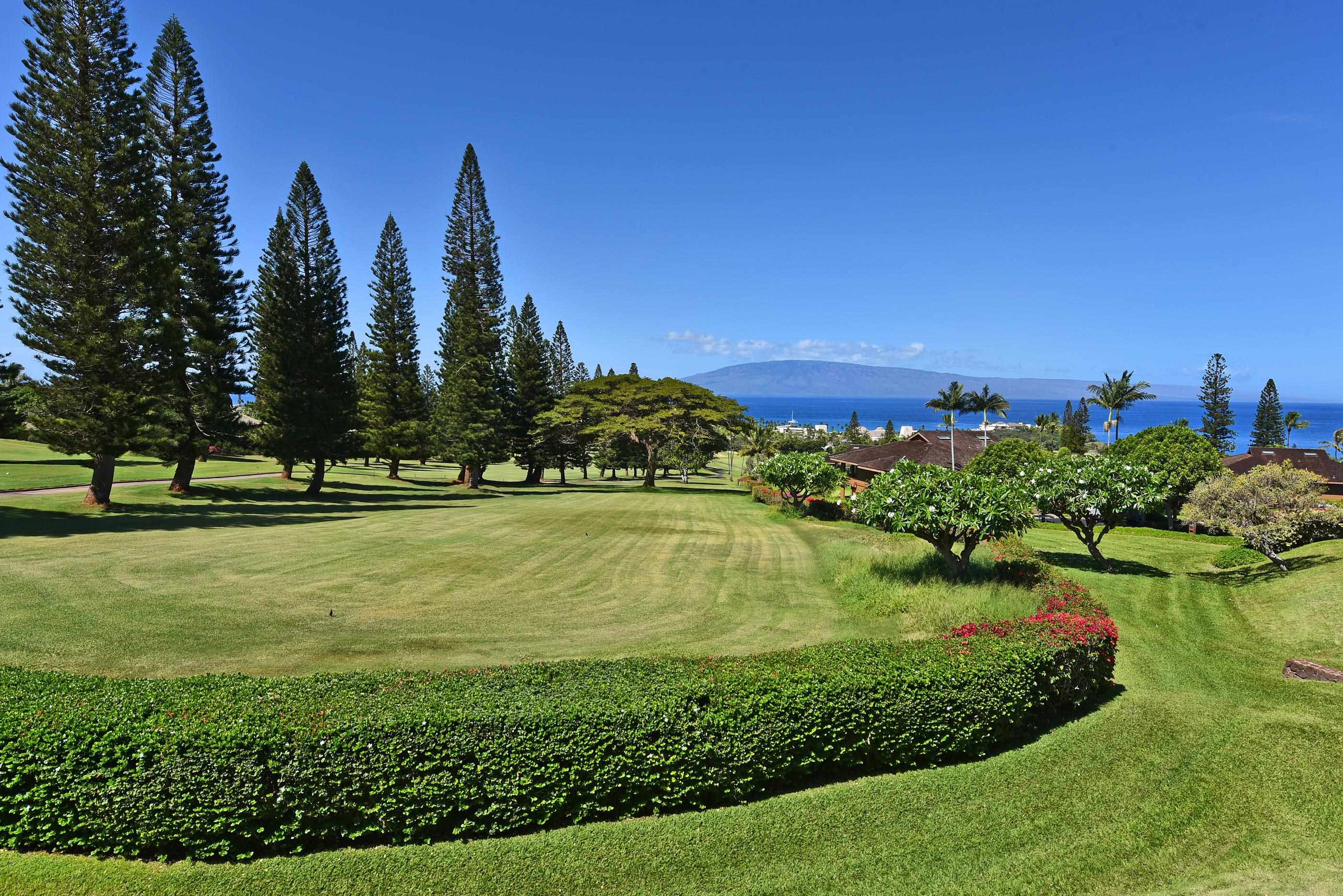 50 Puu Anoano St Property Photo 3