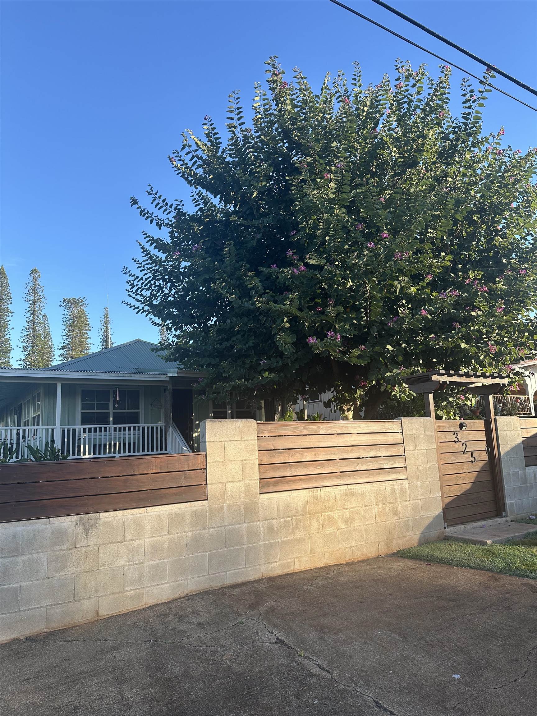 325 Thirteenth St Property Photo