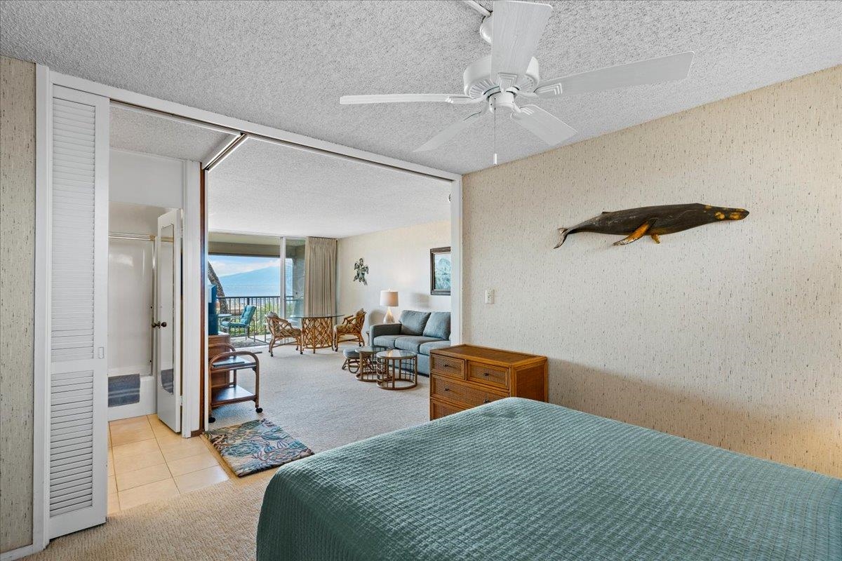 3823 Lower Honoapiilani Rd Property Photo 23