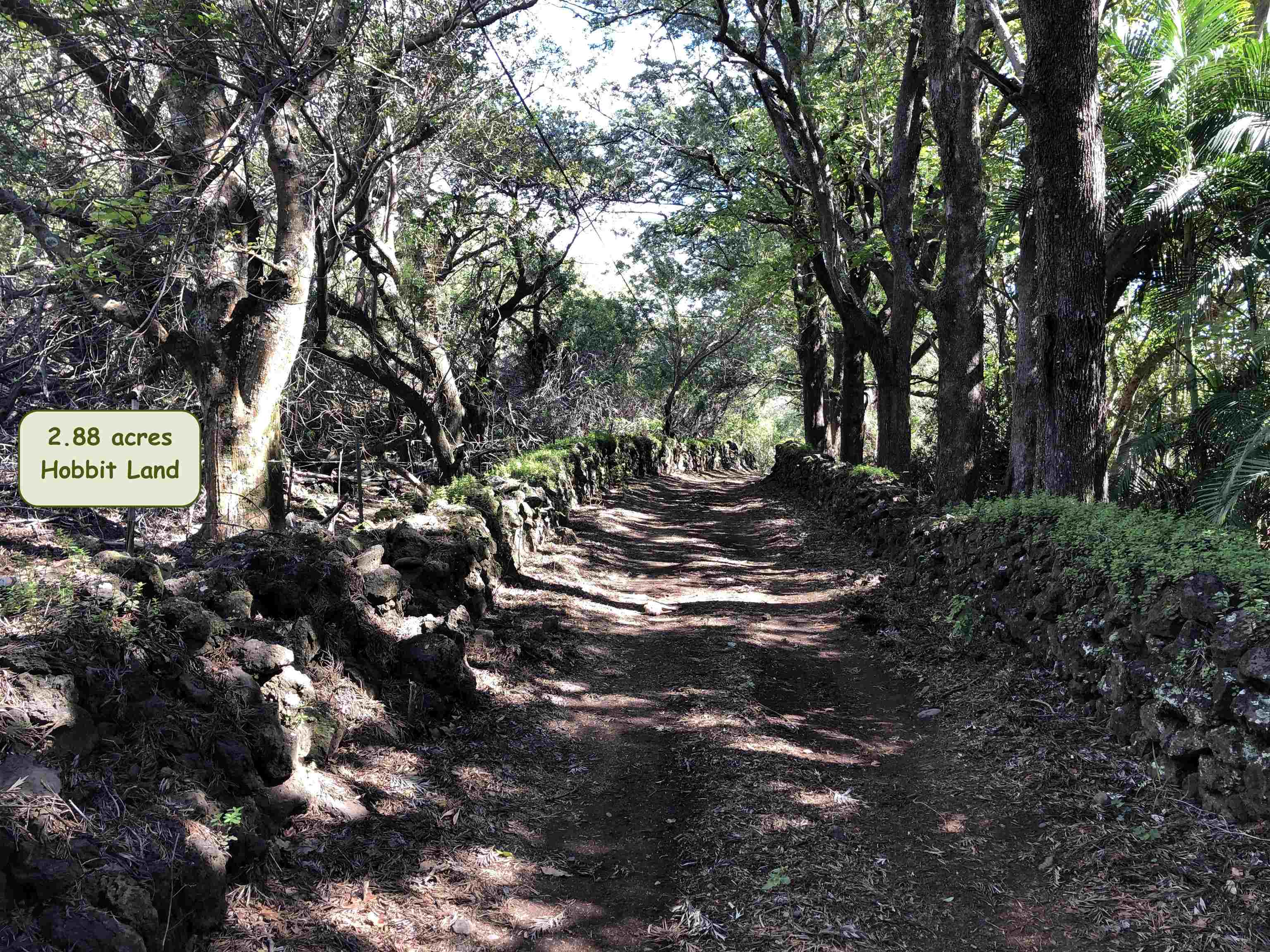 0 Kaupo Gap Rd Property Photo 3