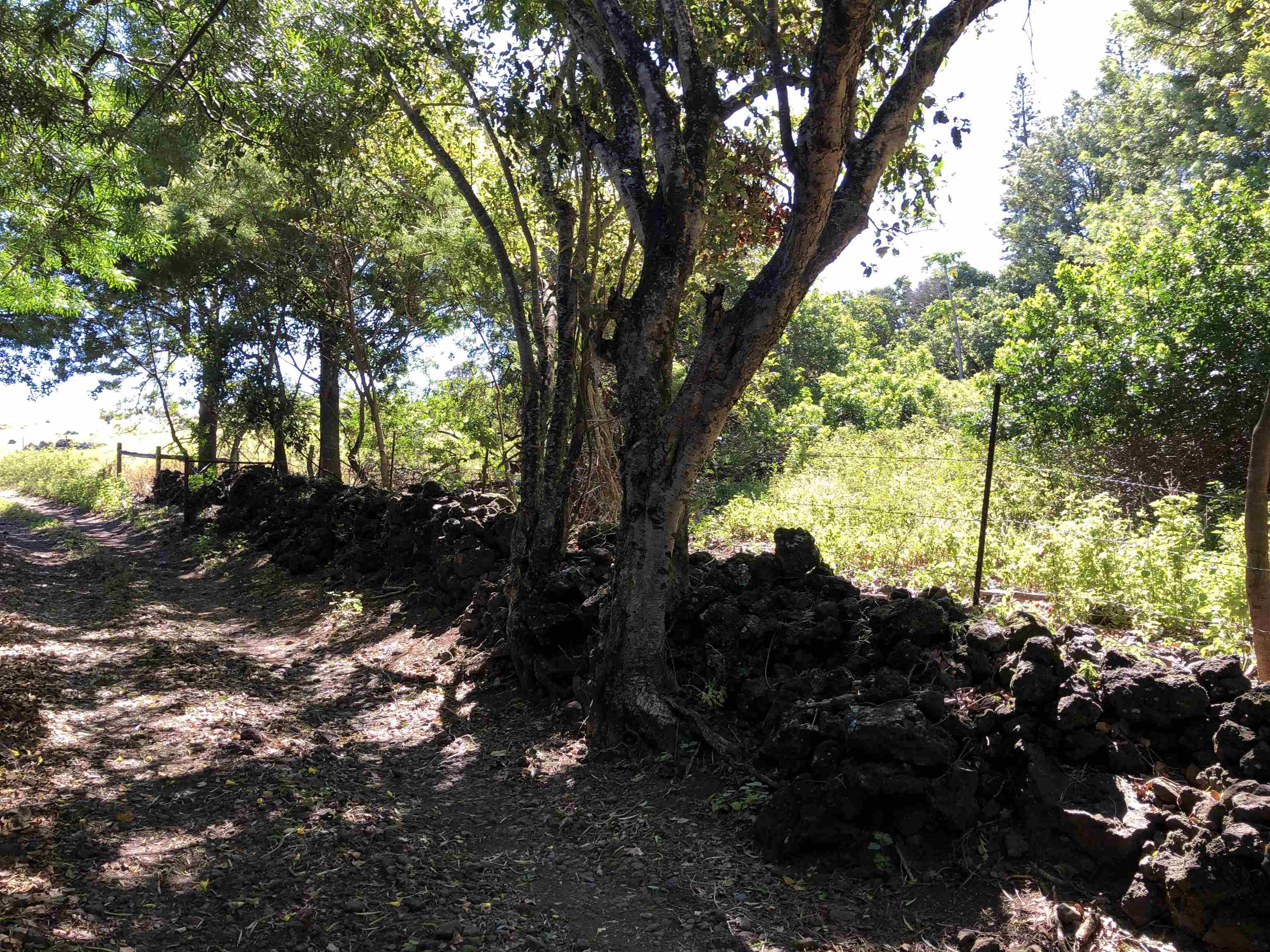 0 Kaupo Gap Rd Property Photo 4