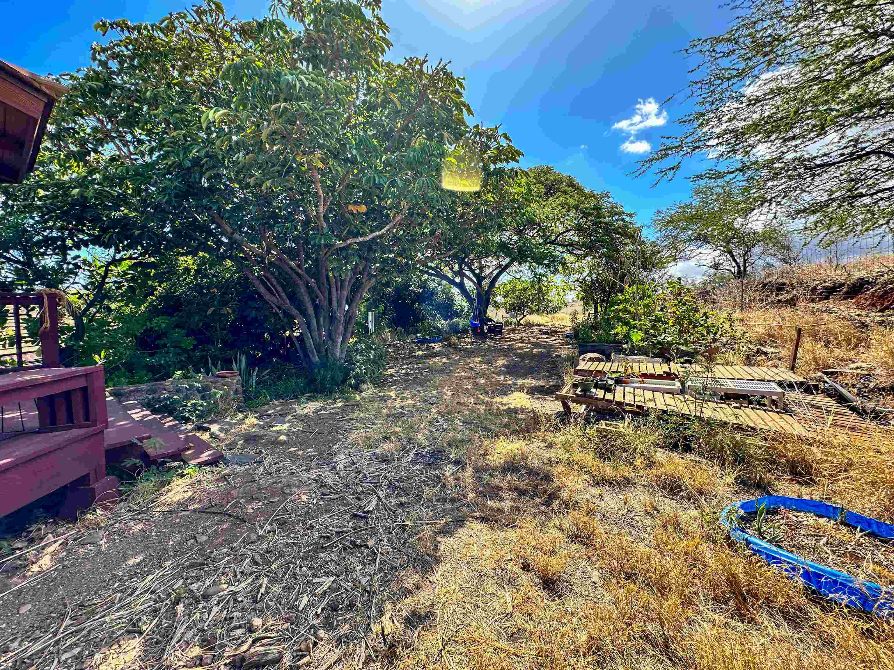 441 Uluanui Rd Property Photo 28
