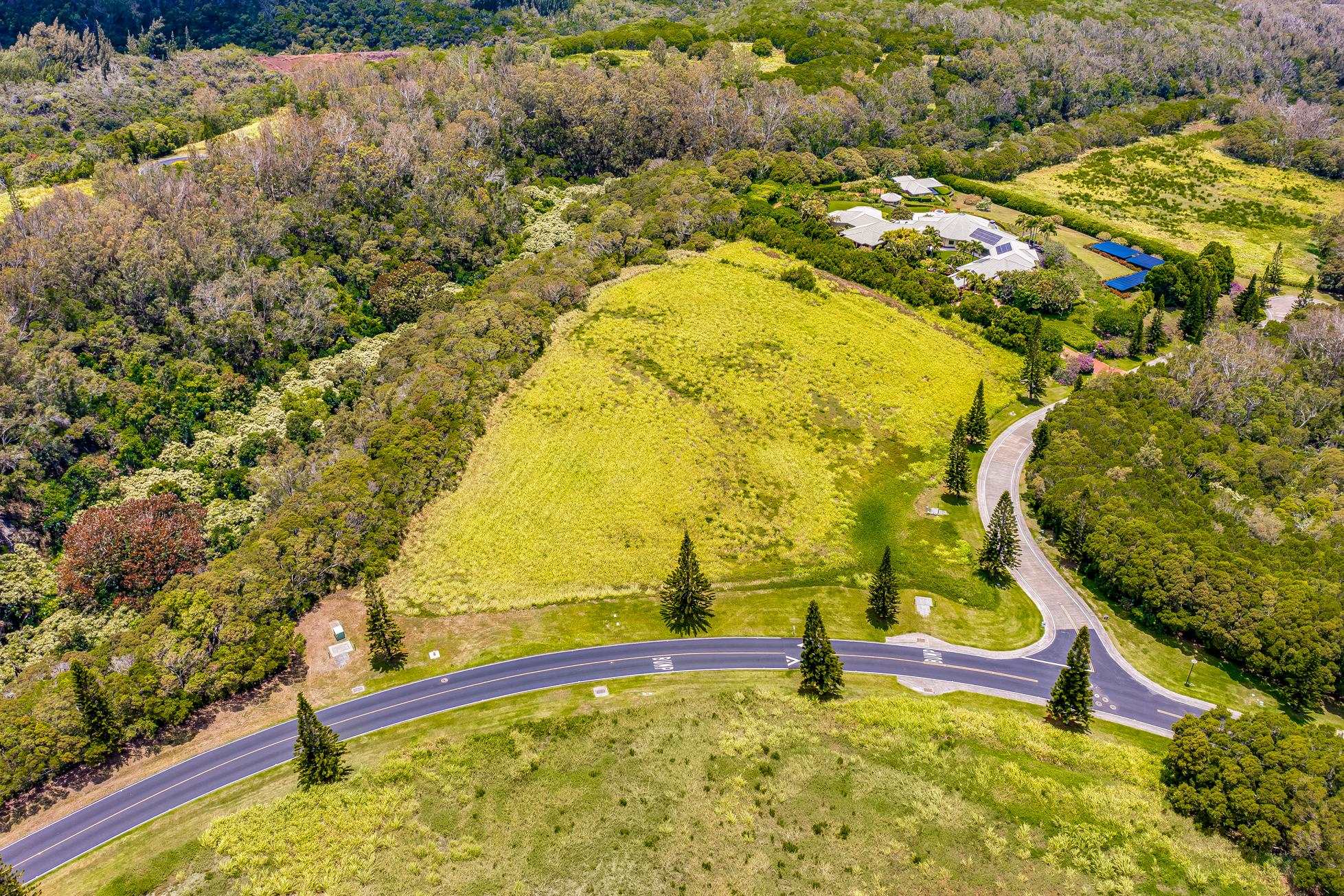 142 Keoawa Pl Property Photo 17