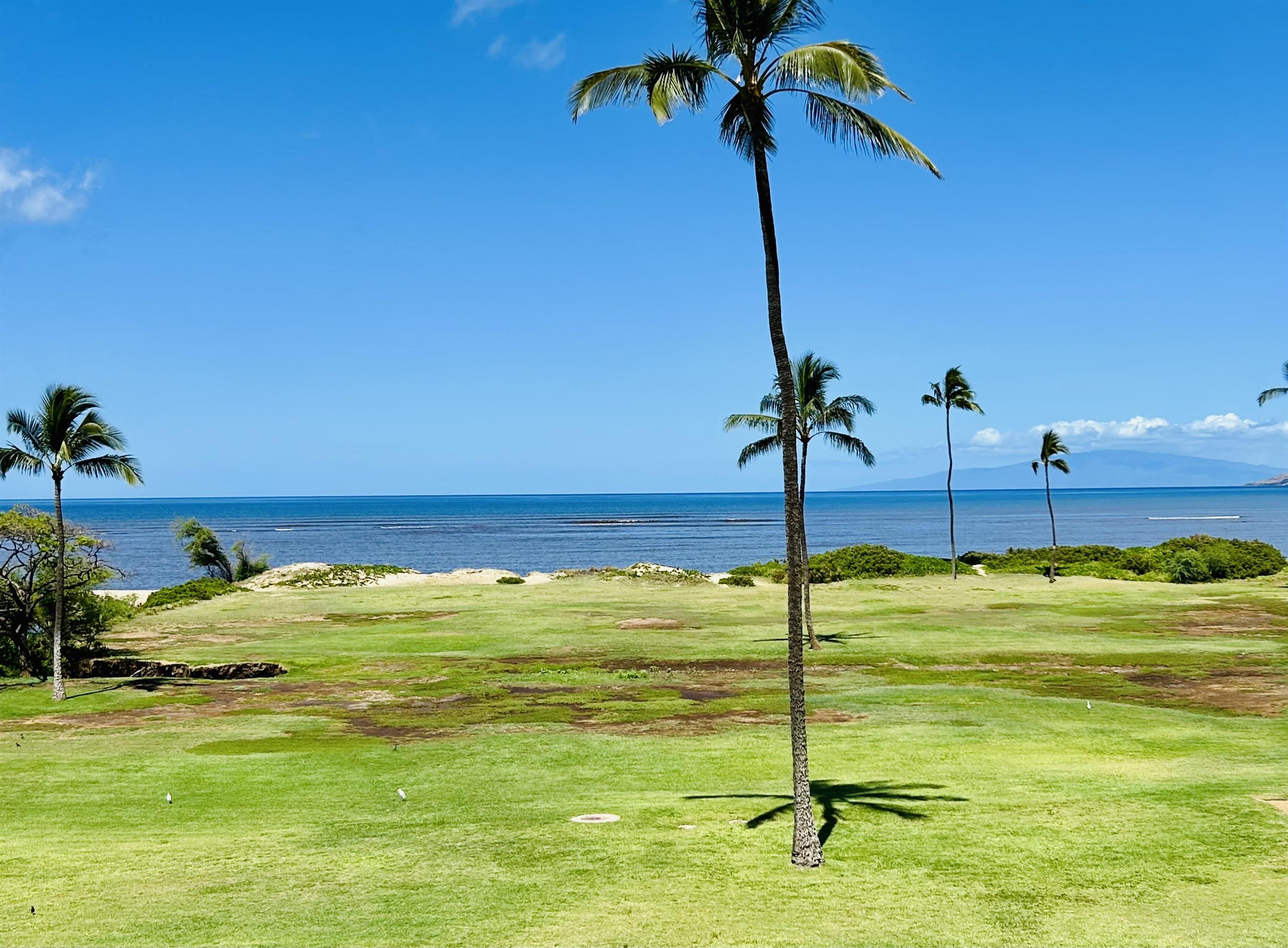 938 S Kihei Rd Property Photo 29