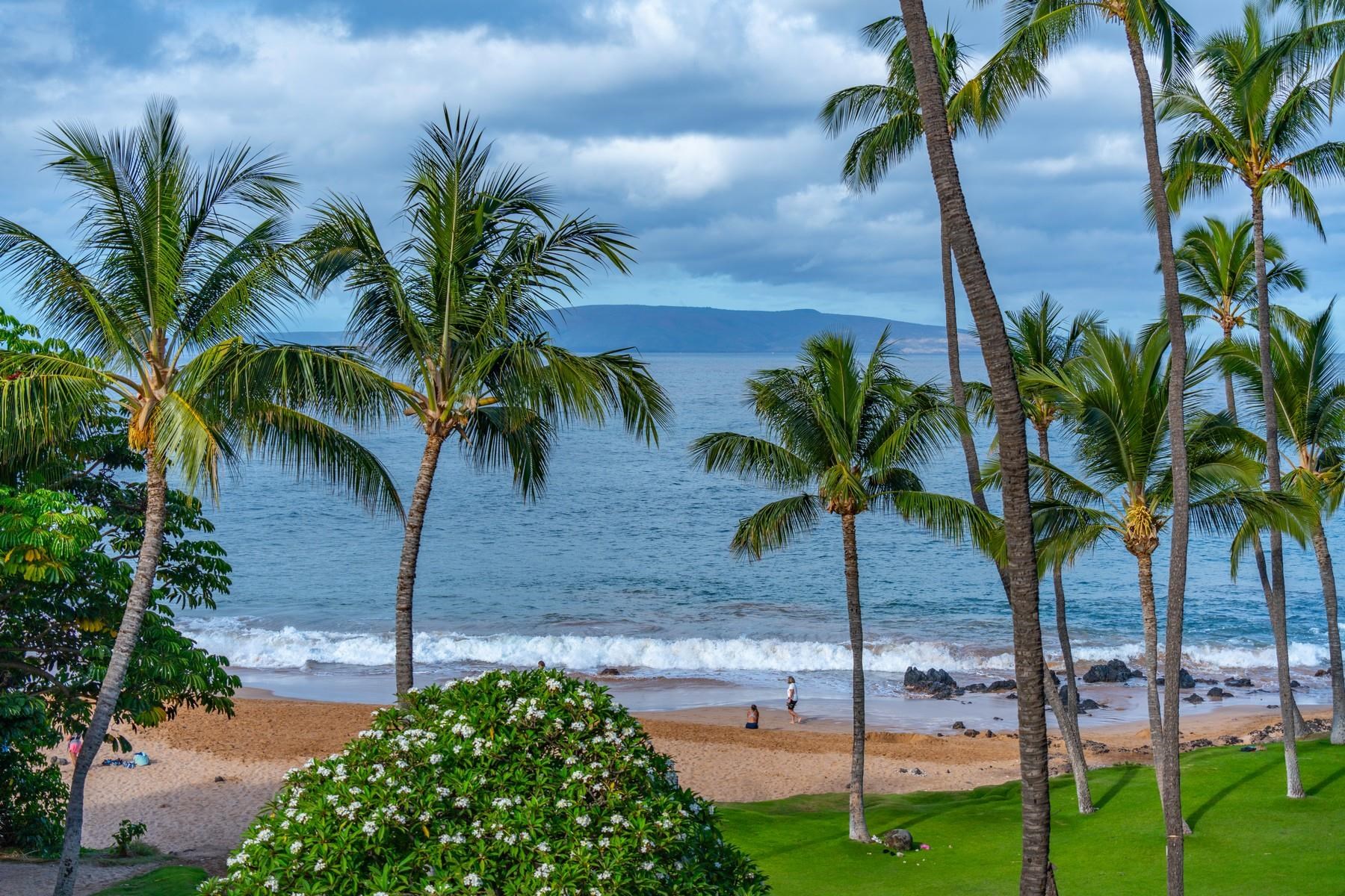2960 S Kihei Rd Property Photo 8