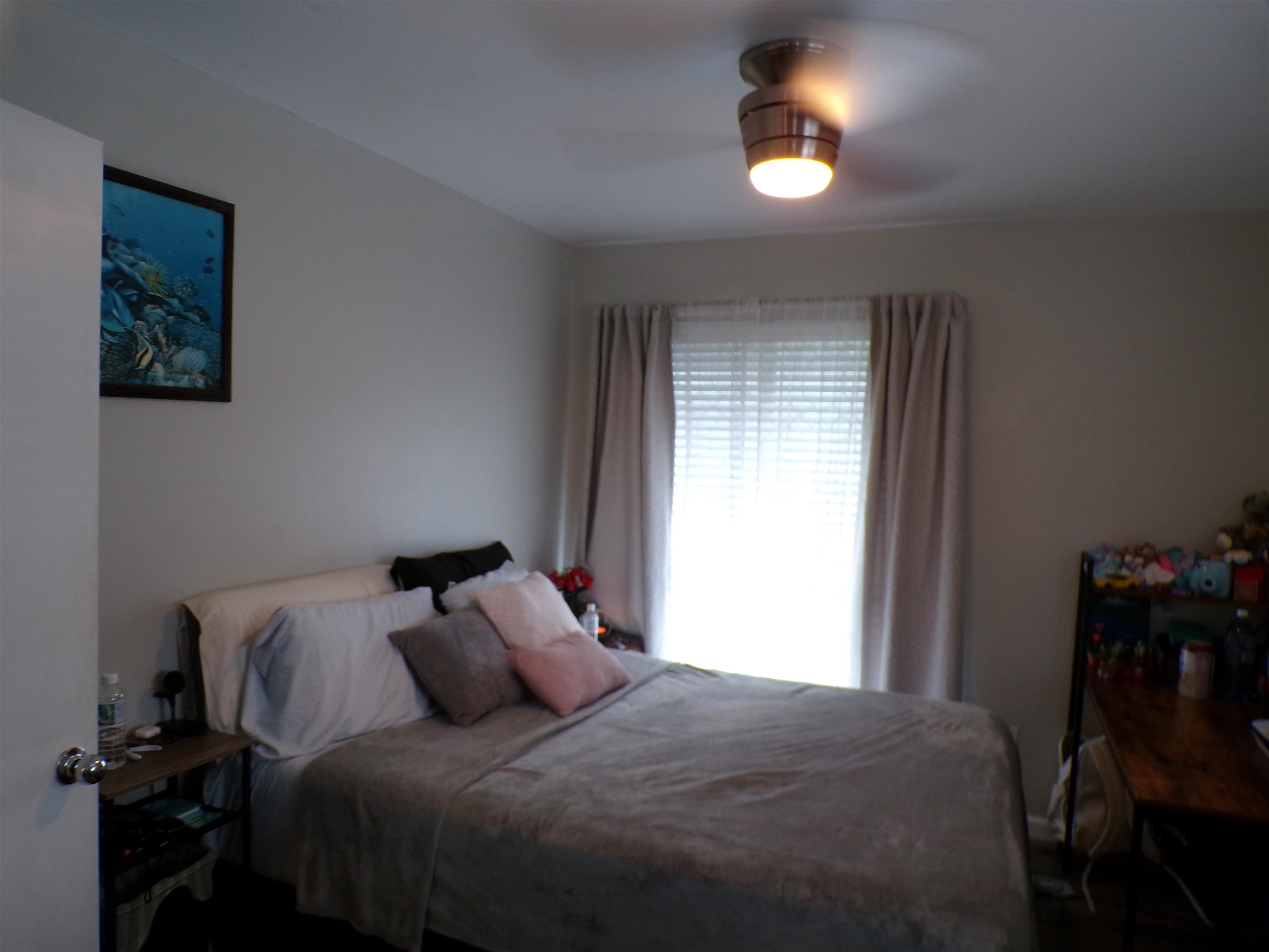 4955 Hanawai St Property Photo 13