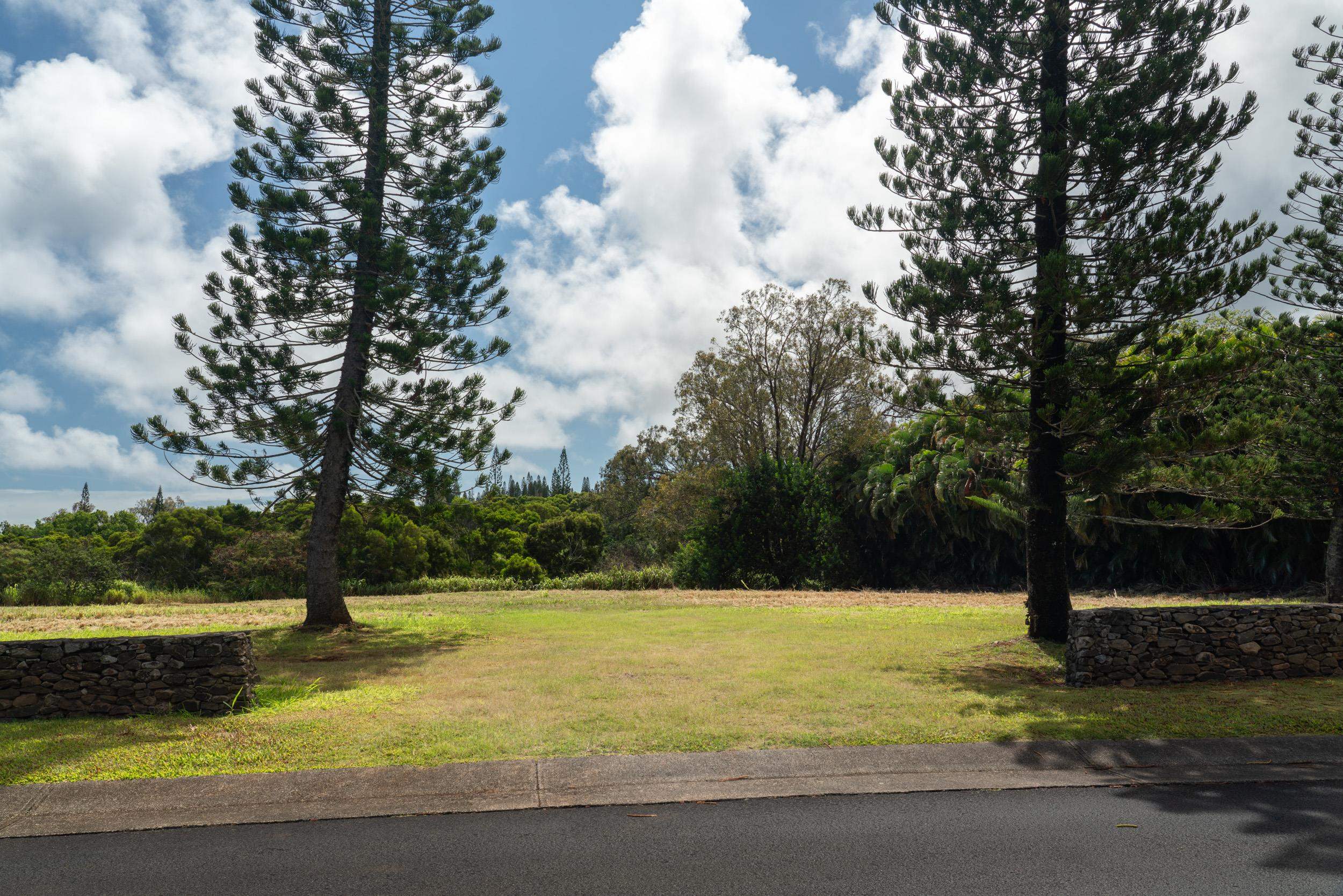 221 Plantation Club Dr Property Photo 25