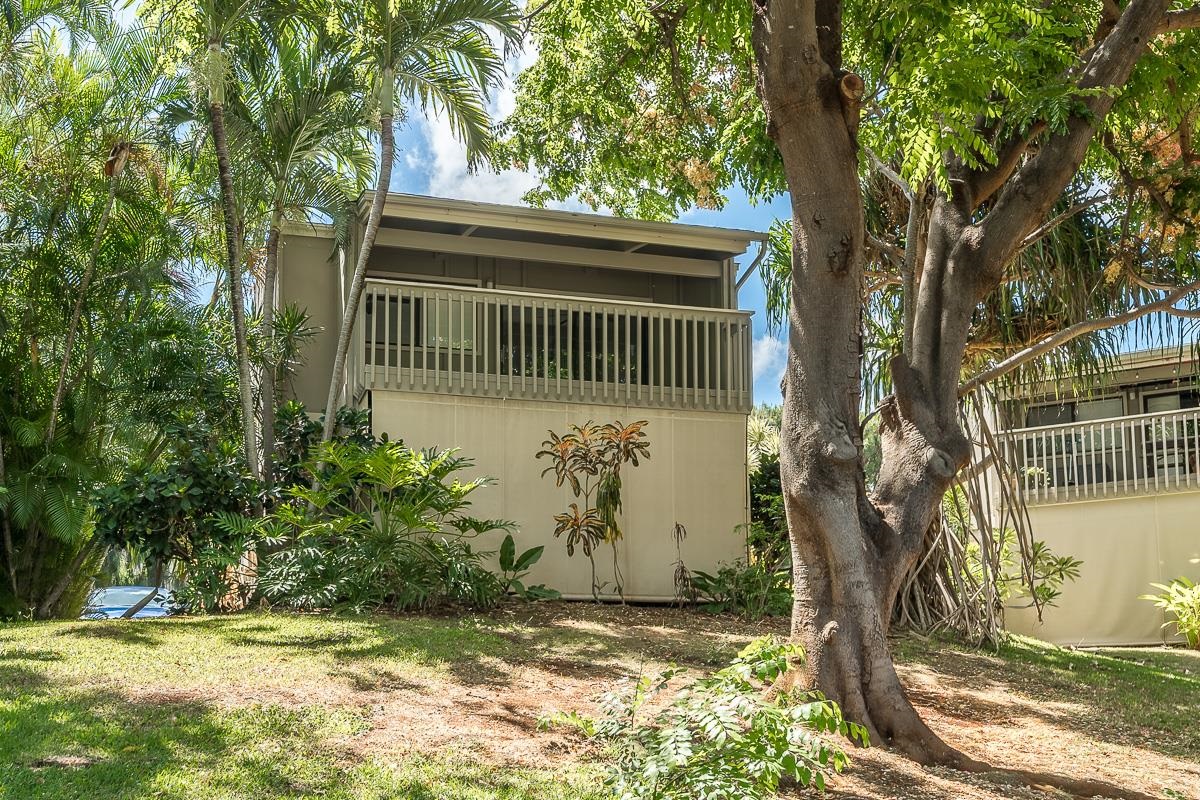 4435 Lower Honoapiilani Rd Property Photo 45