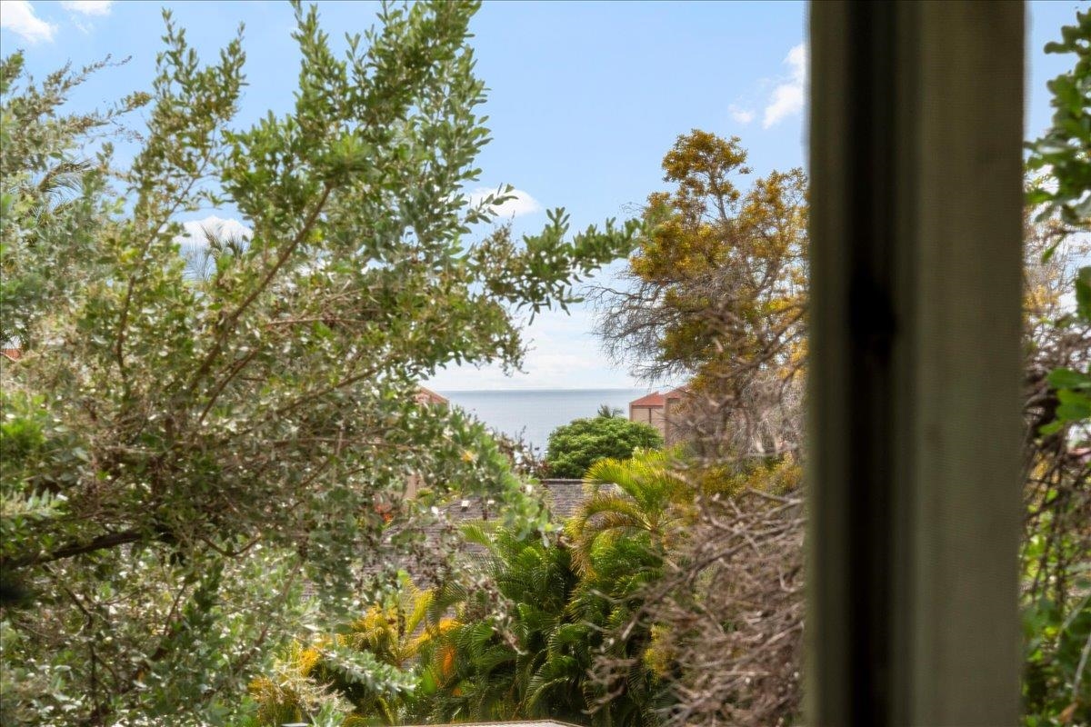 160 Keonekai Rd Property Photo 17
