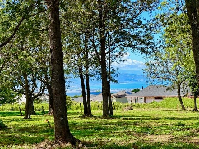 26 Kula Hwy Property Photo 1