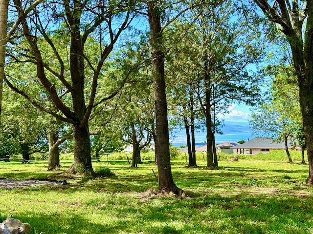 26 Kula Hwy Property Photo 1