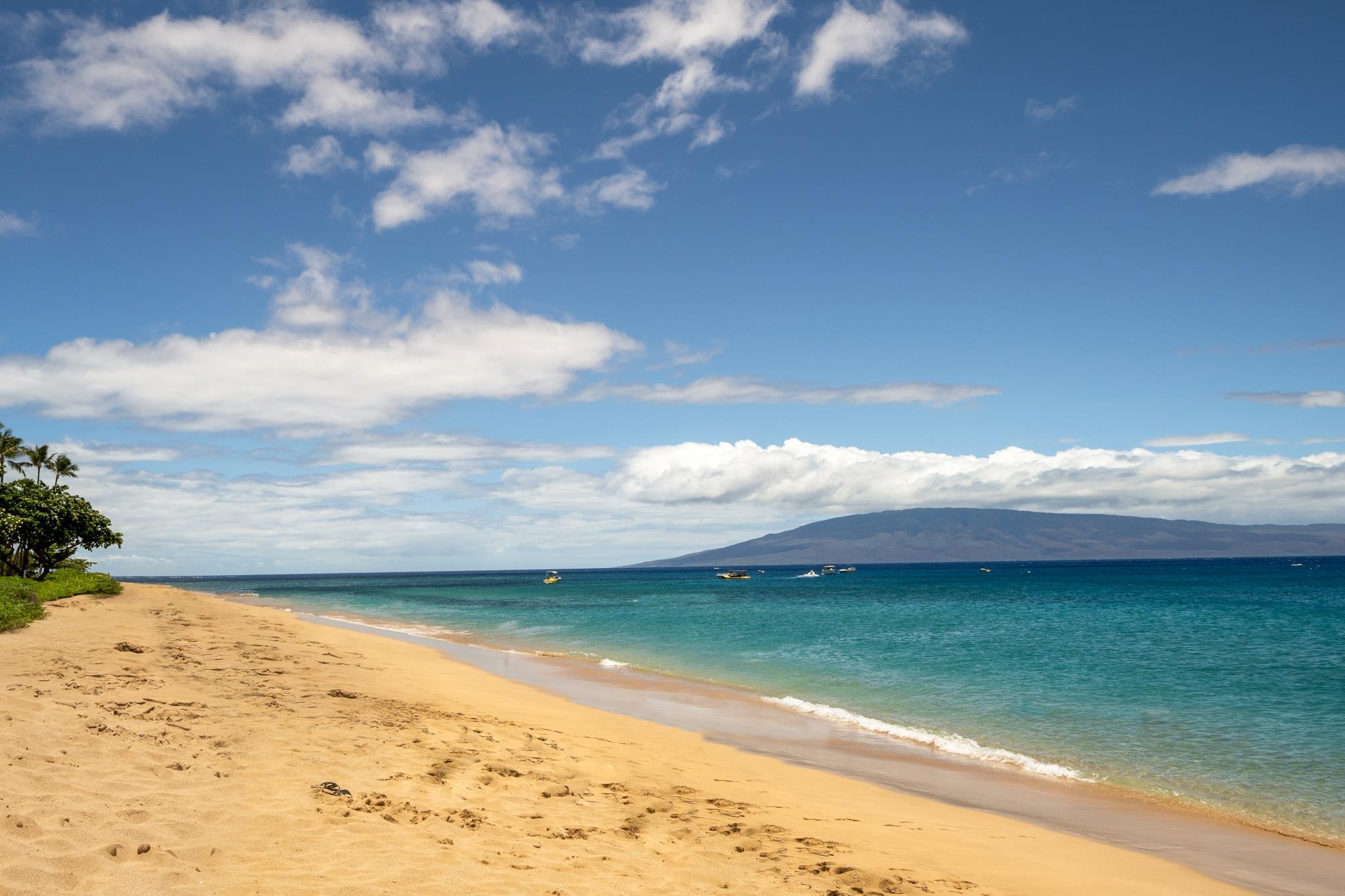 2481 Kaanapali Pkwy Property Photo 13