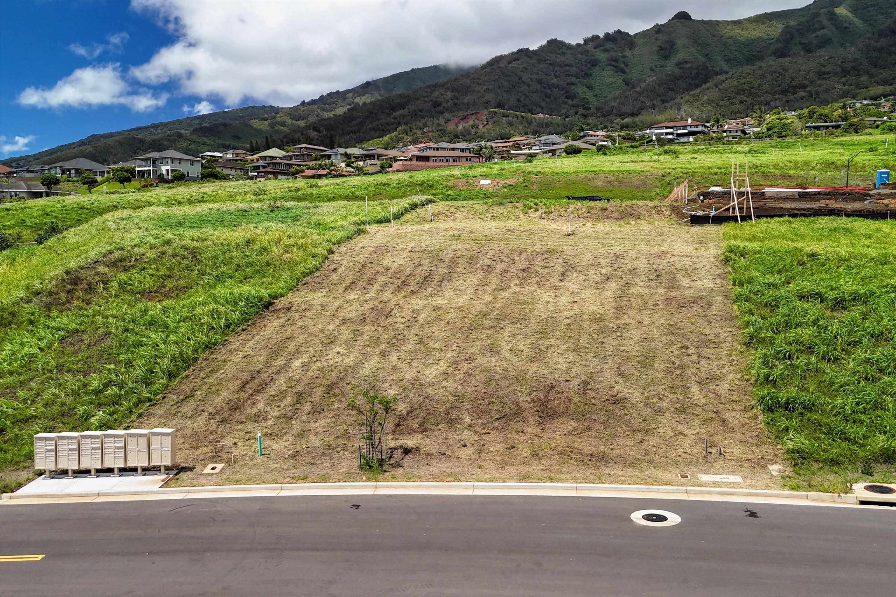 101 Hopo'i Pl Property Photo 6