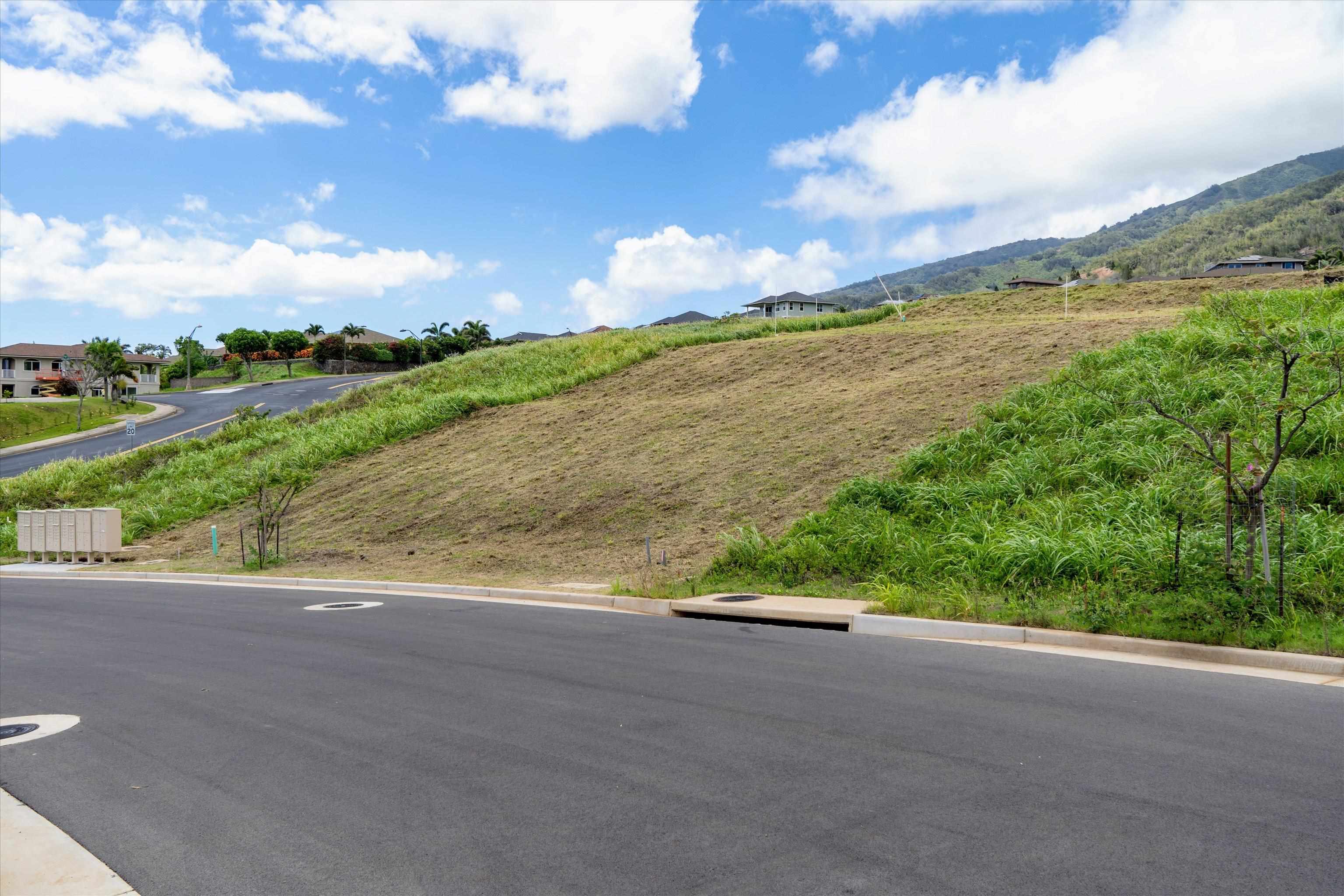 101 Hopo'i Pl Property Photo 24