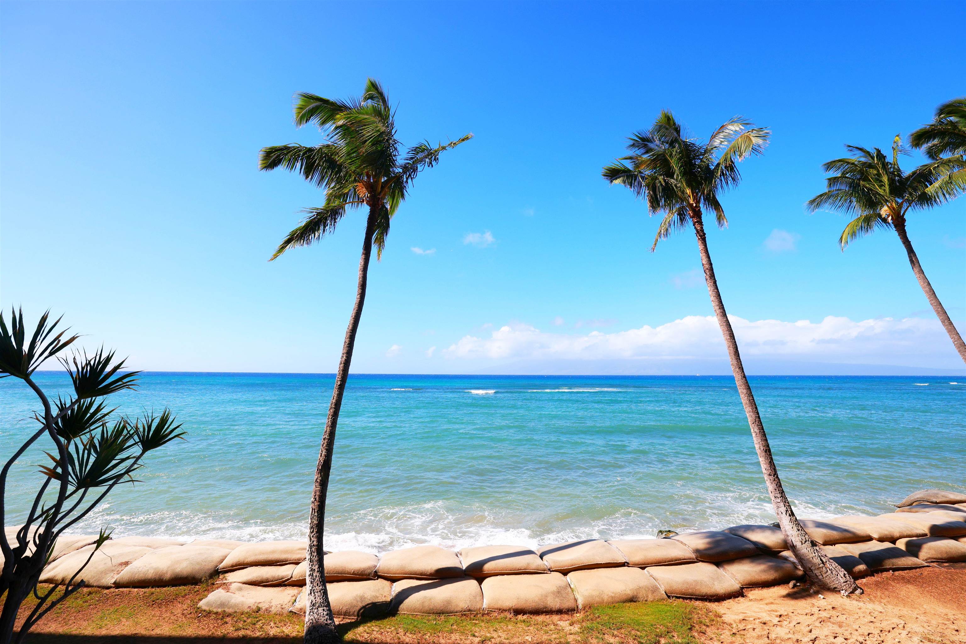 4327 Lower Honoapiilani Rd Property Photo 1