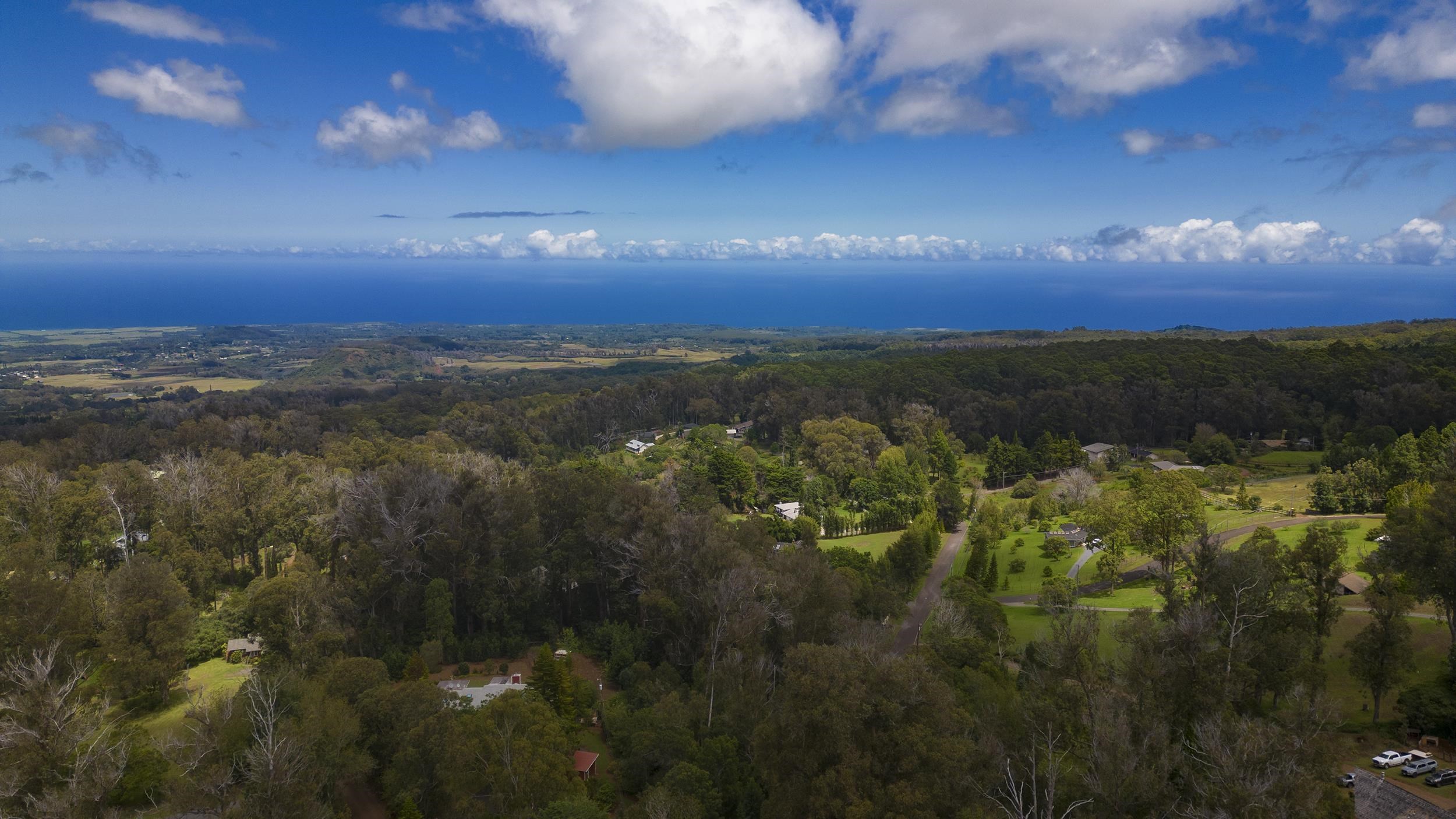 2445 Piiholo Rd Property Photo 45