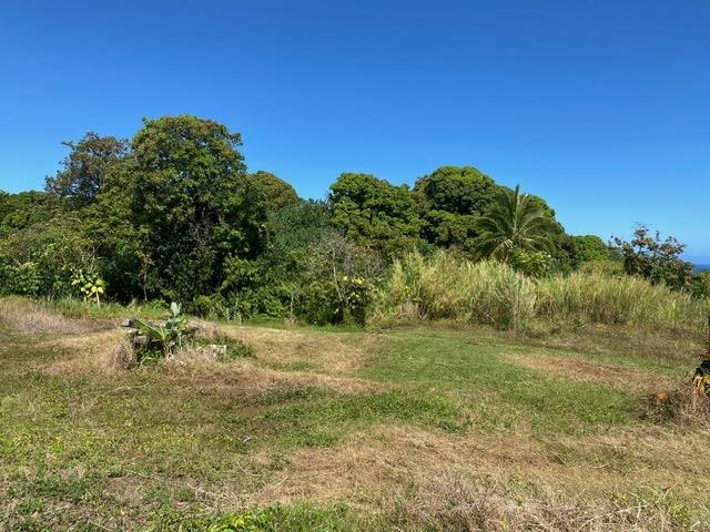 1580 Lower Nahiku Rd Property Photo 4