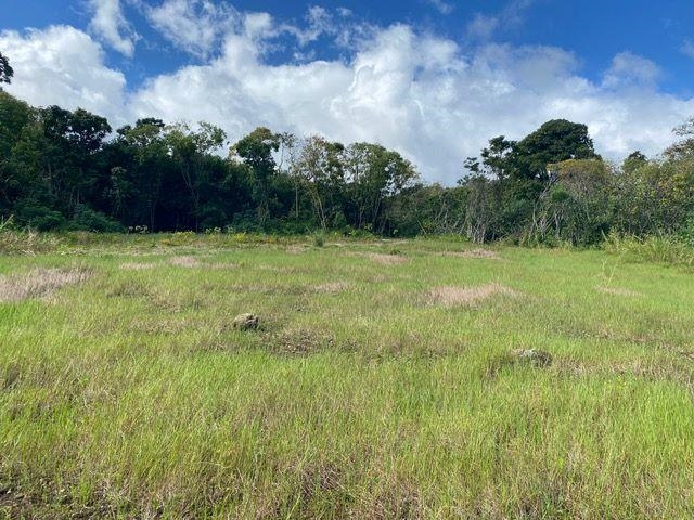 1580 Lower Nahiku Rd Property Photo 5