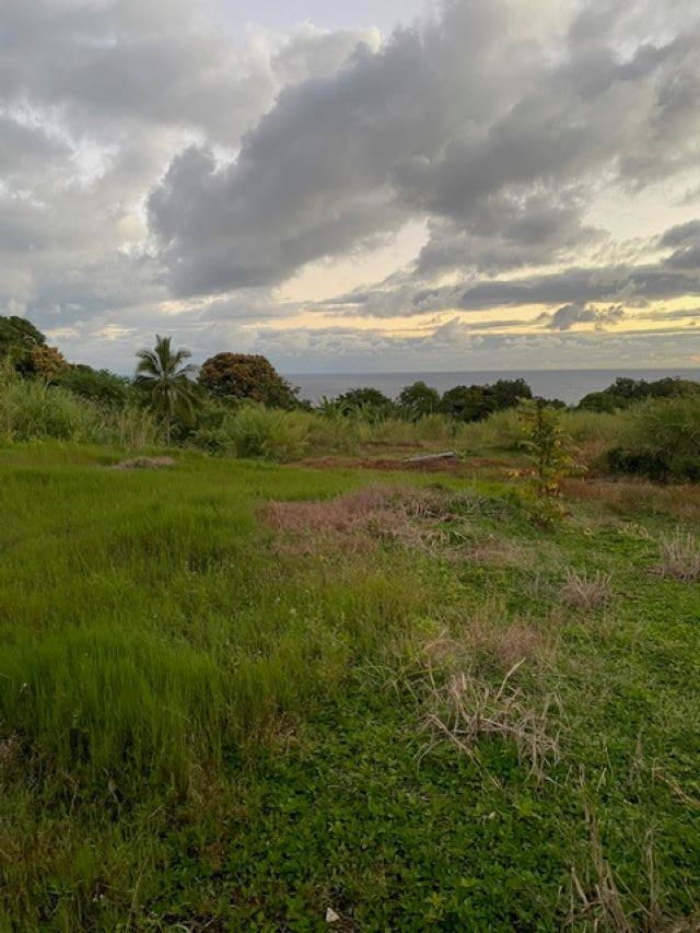 1580 Lower Nahiku Rd Property Photo 6