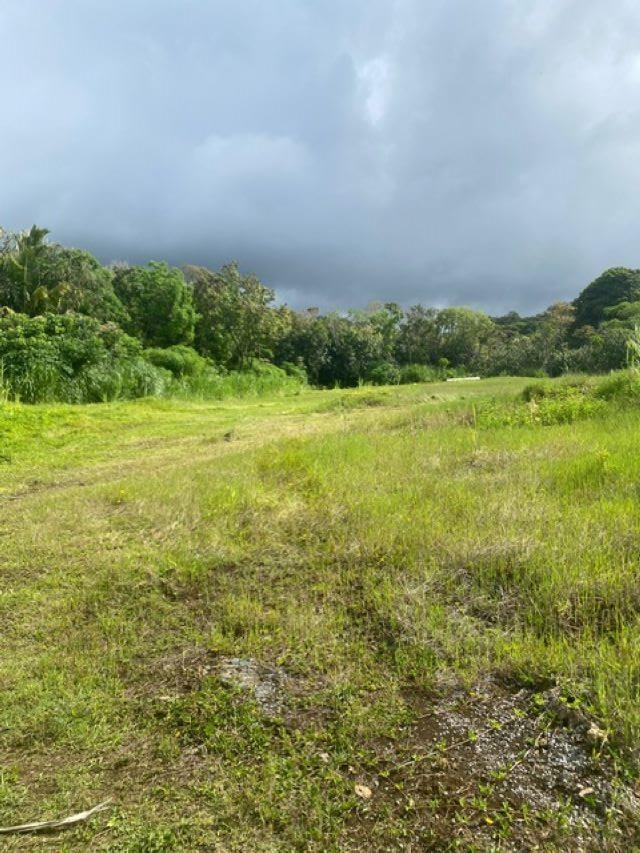 1580 Lower Nahiku Rd Property Photo 7
