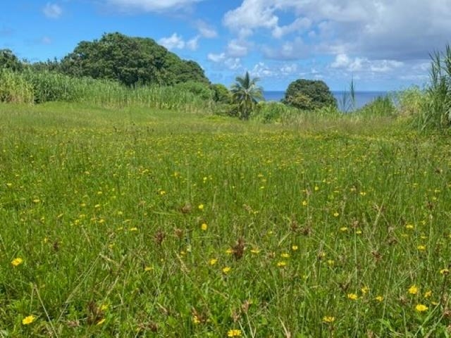 1580 Lower Nahiku Rd Property Photo 8