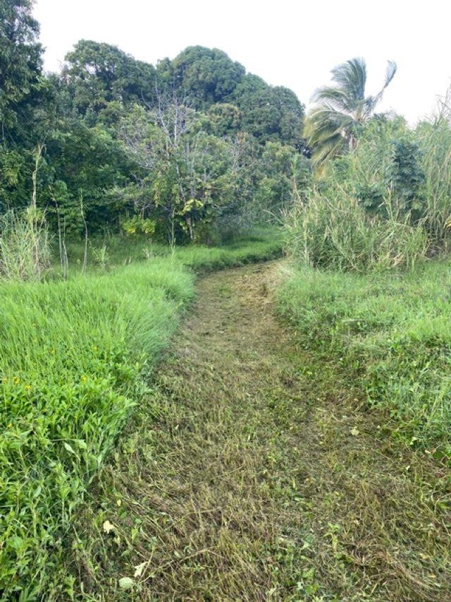 1580 Lower Nahiku Rd Property Photo 9