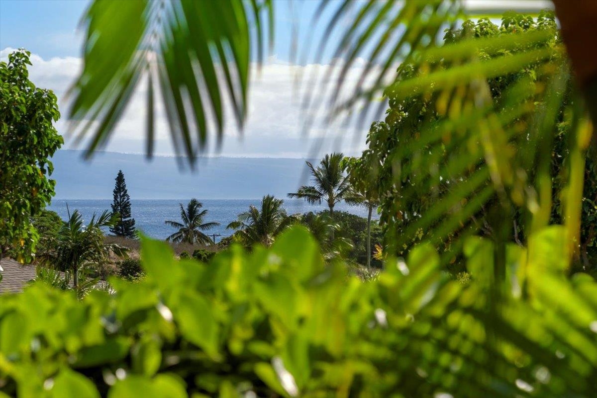 15 Kiohuohu Ln Property Photo 10