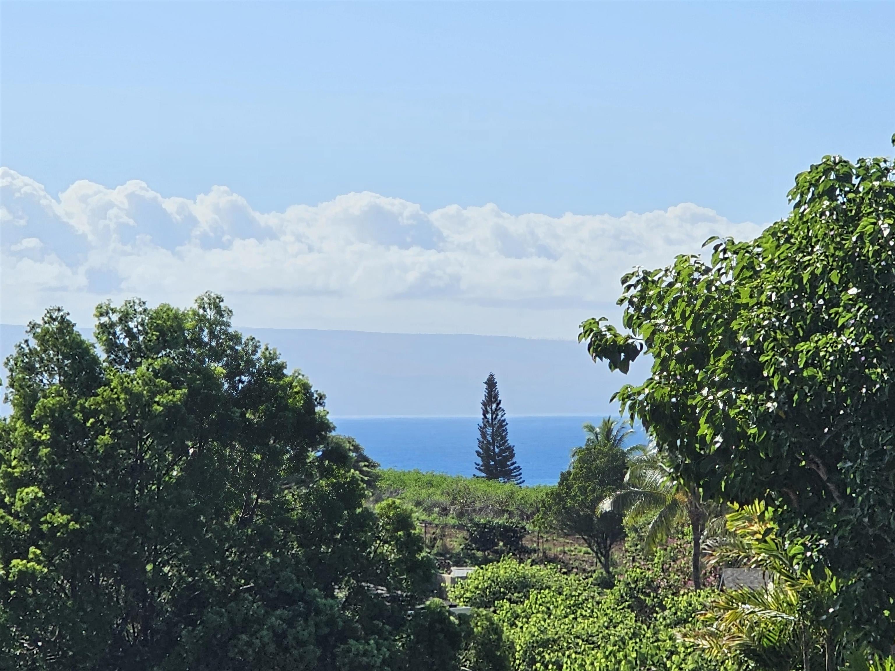 15 Kiohuohu Ln Property Photo 19