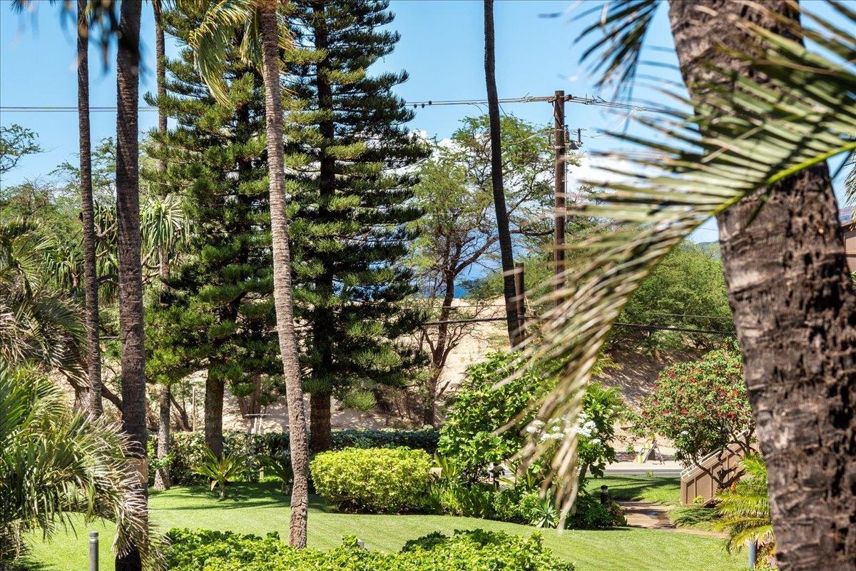679 S Kihei Rd Property Photo 22