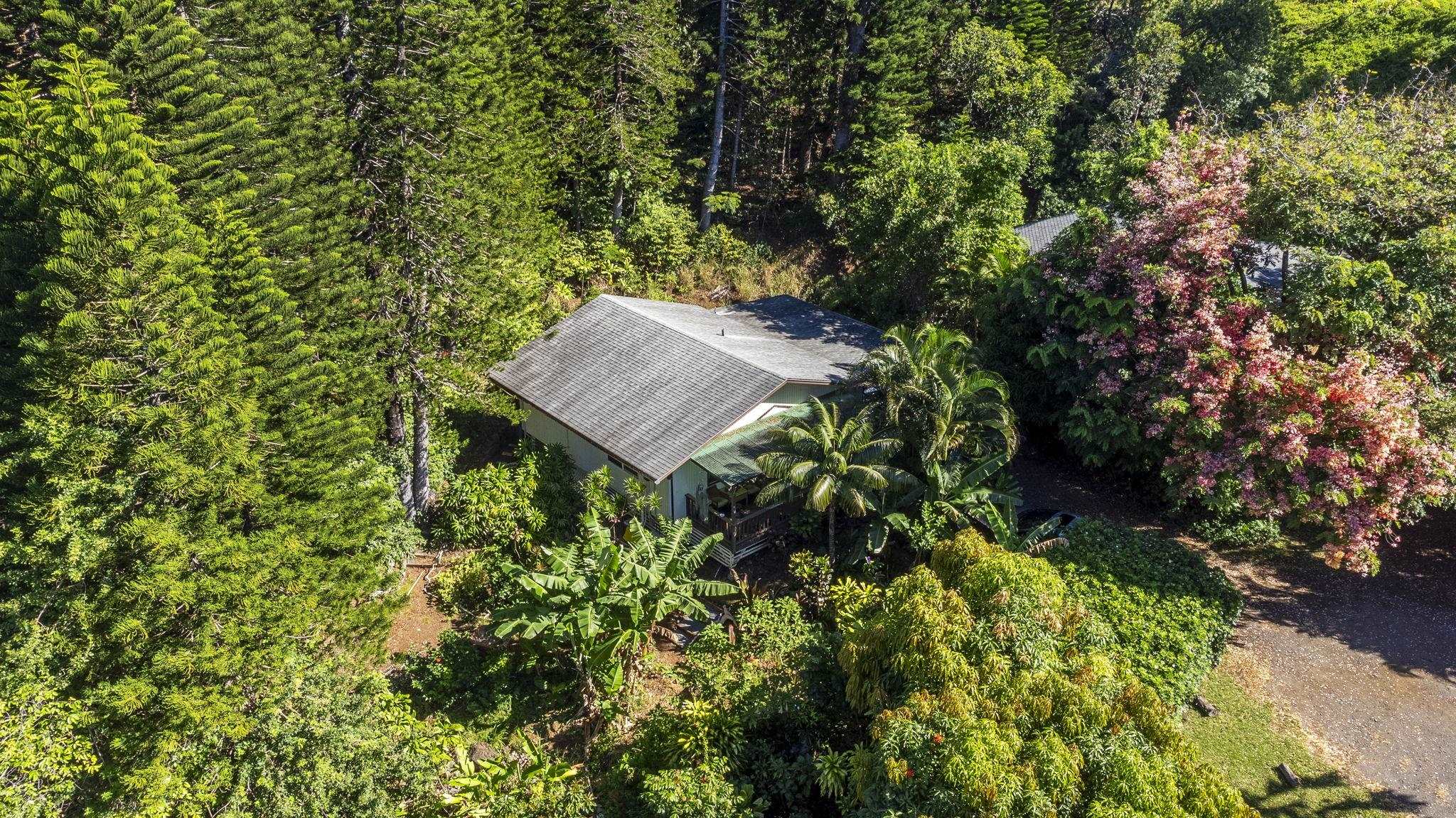 998 Kauhikoa Rd Property Photo 1