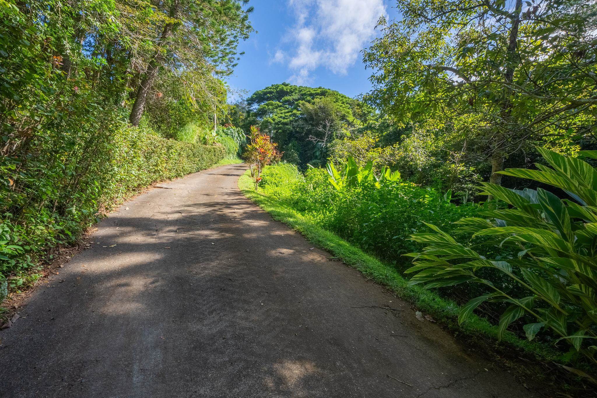 998 Kauhikoa Rd Property Photo 18