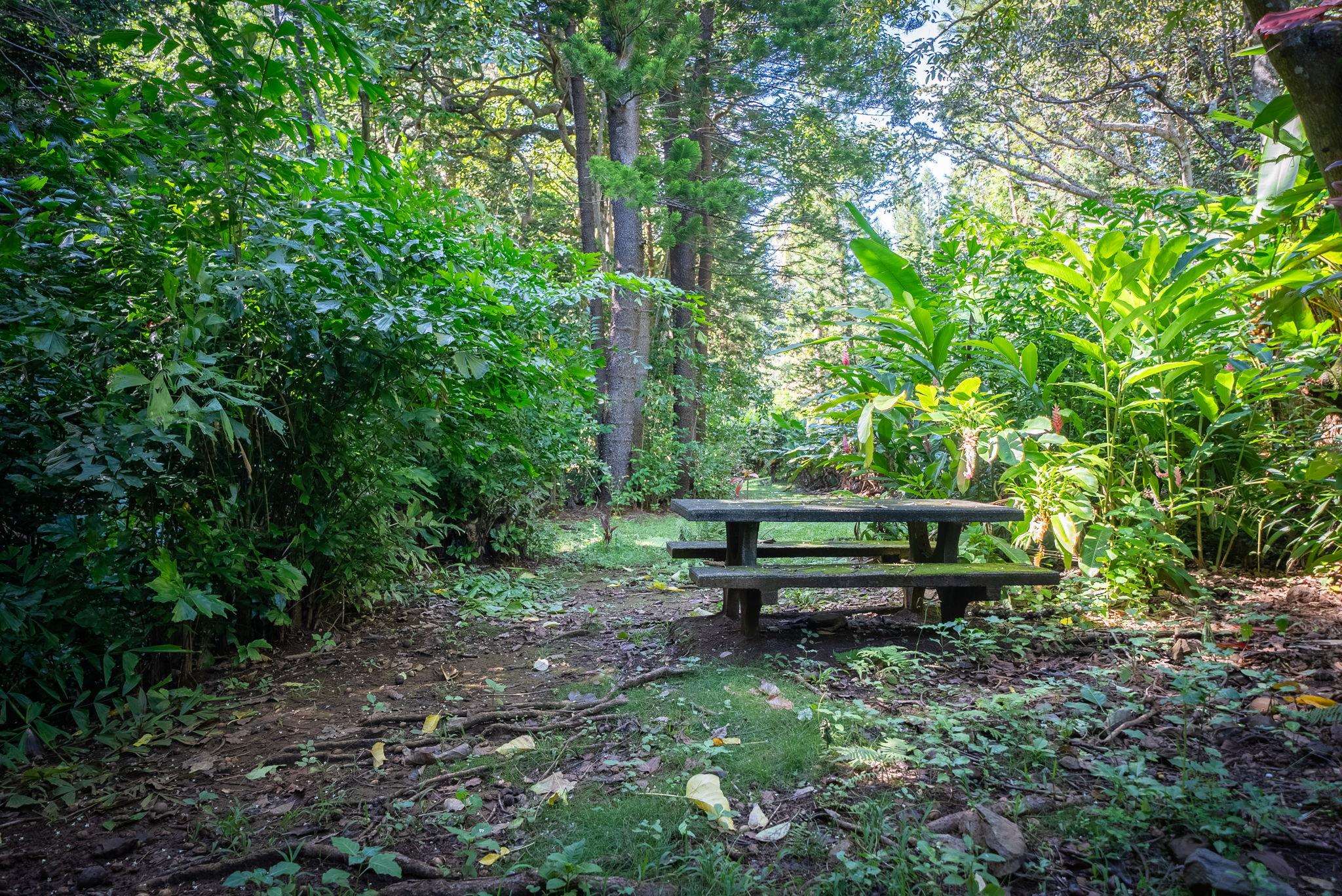 998 Kauhikoa Rd Property Photo 19