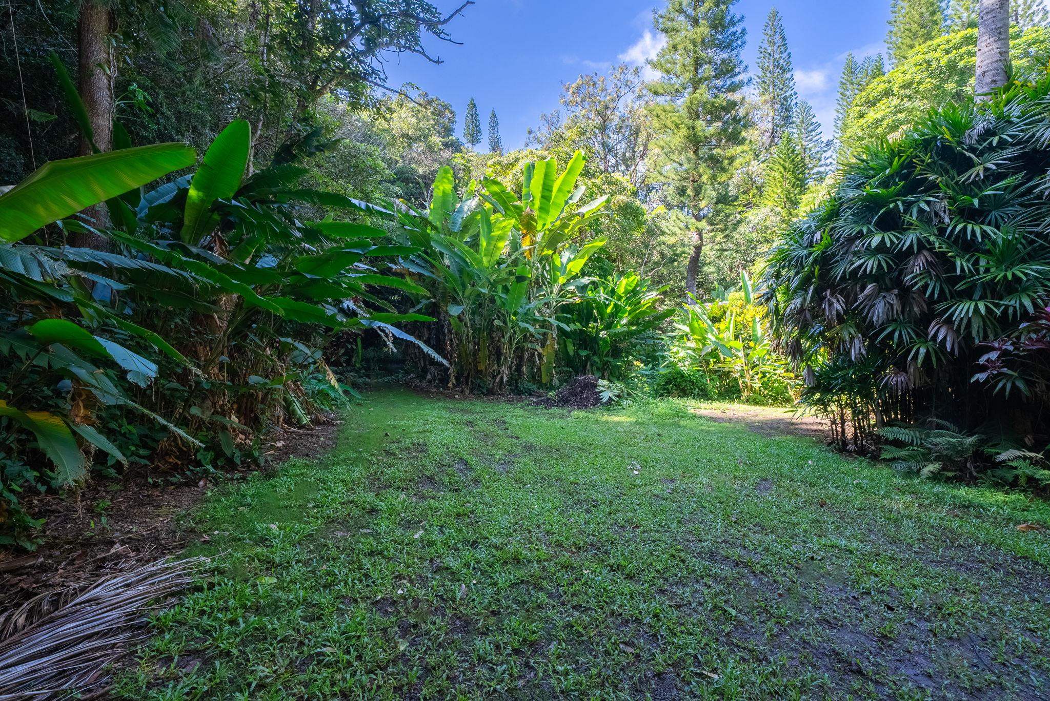 998 Kauhikoa Rd Property Photo 22
