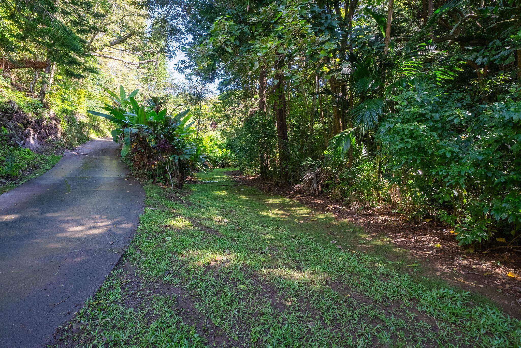 998 Kauhikoa Rd Property Photo 23