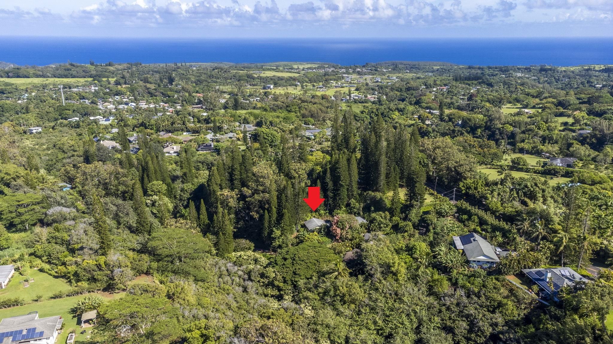 998 Kauhikoa Rd Property Photo 25