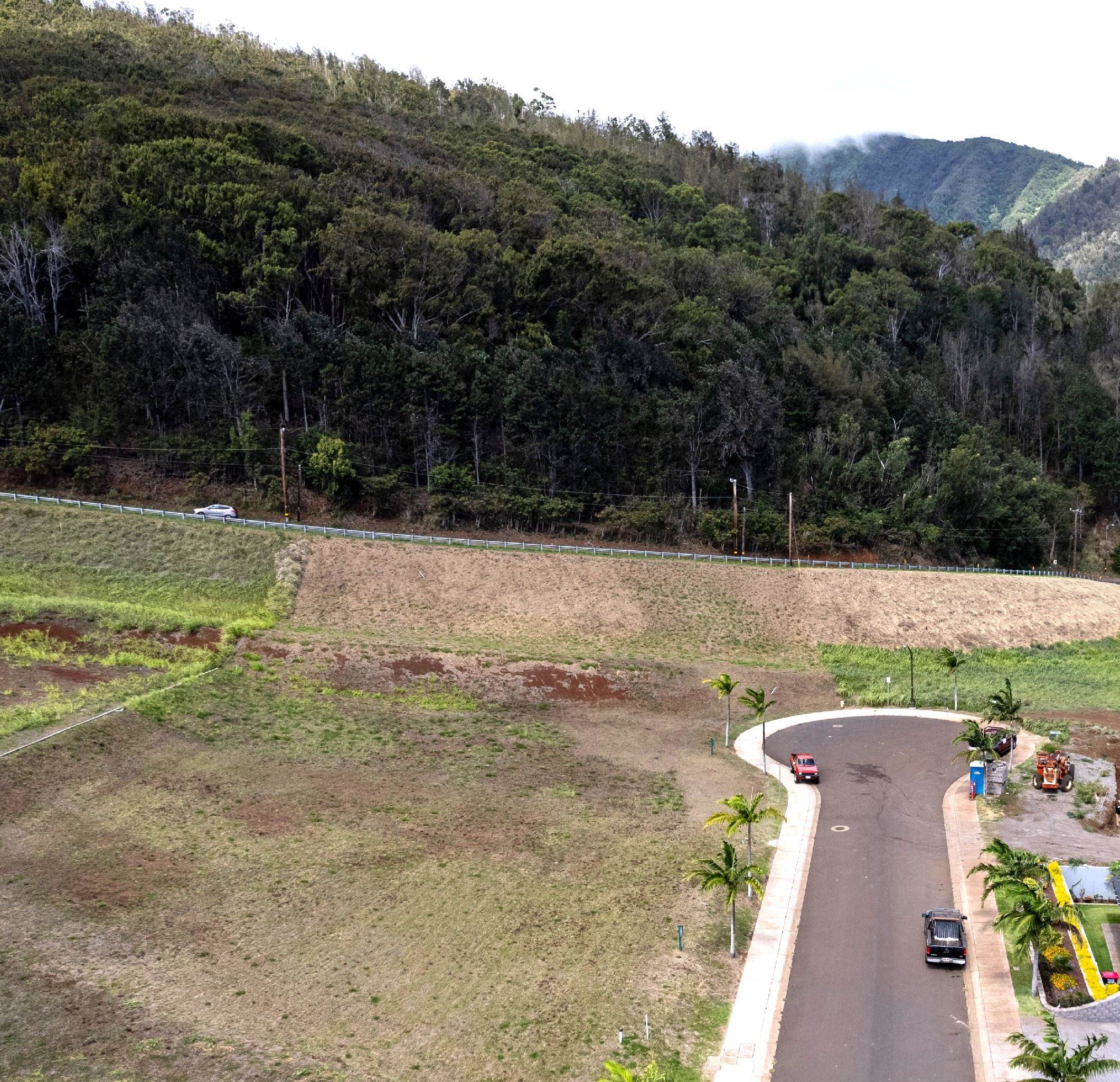 20 N Laikeha Pl Property Photo 6