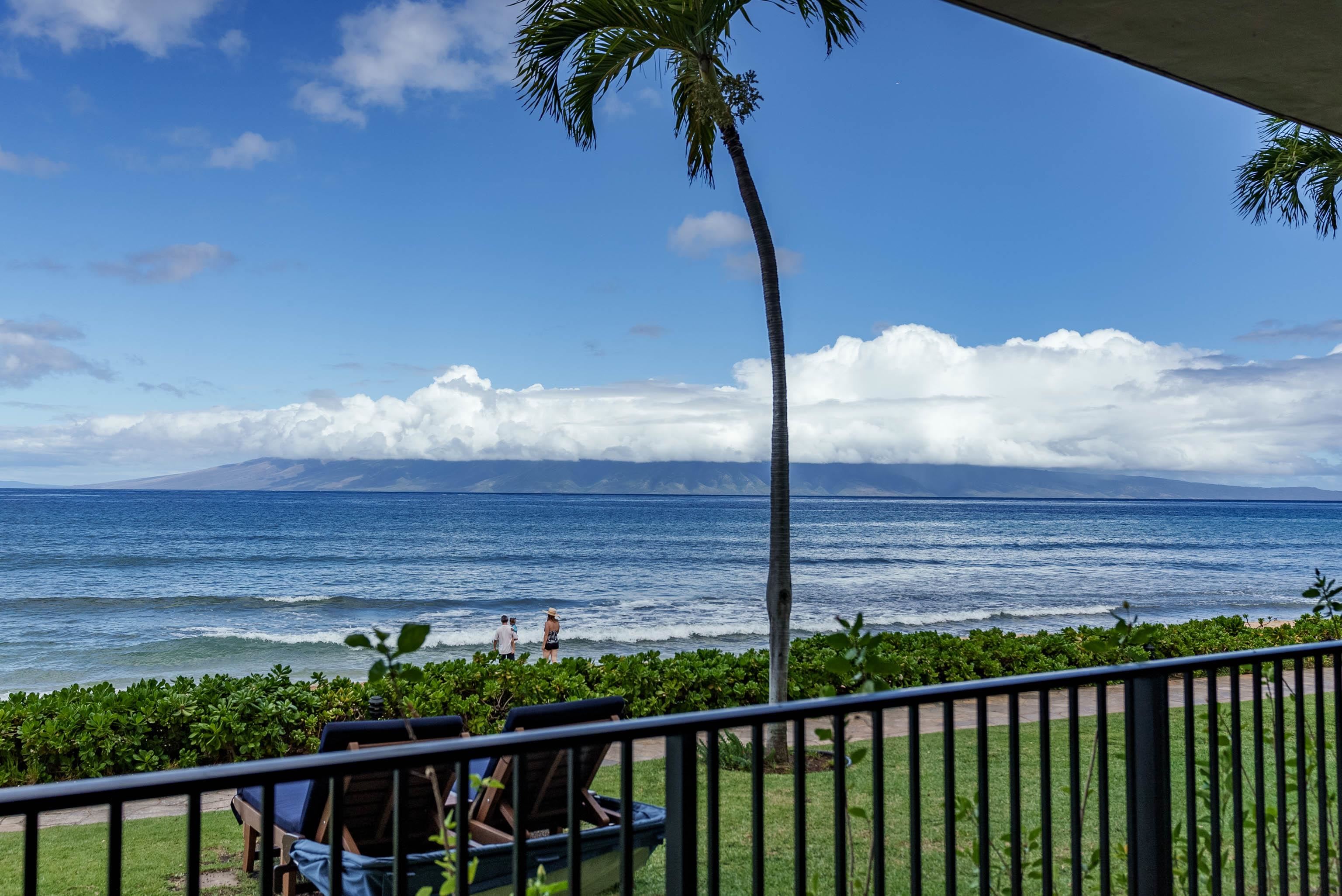 3445 Lower Honoapiilani Rd Property Photo 48