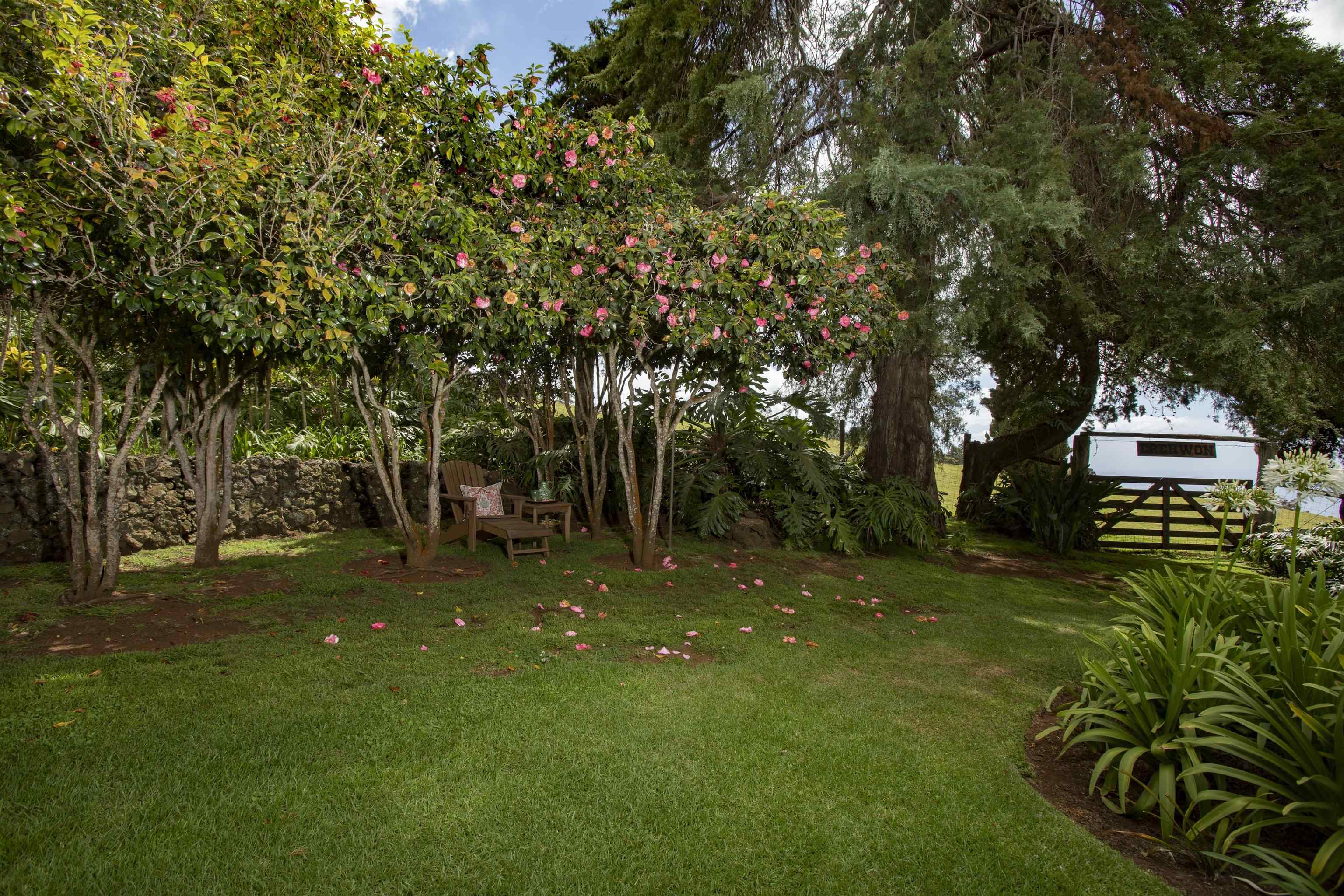 2176 Kekaulike Ave Property Photo 36