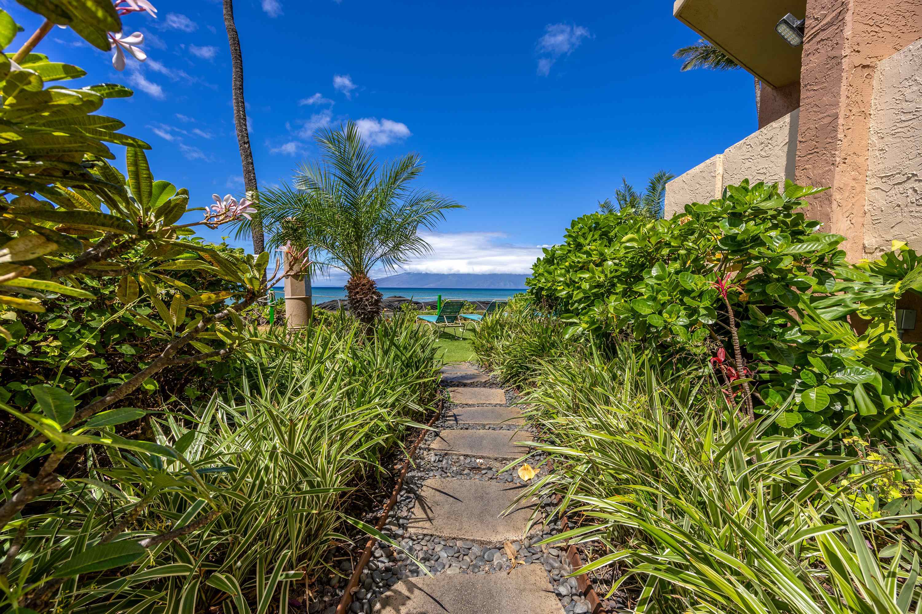 4365 Lower Honoapiilani Rd Property Photo 20