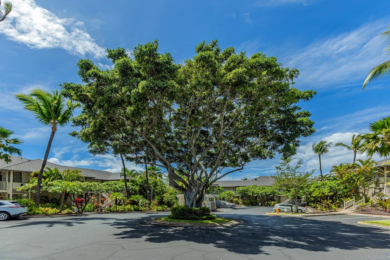 155 Wailea Ike Pl Property Photo 31