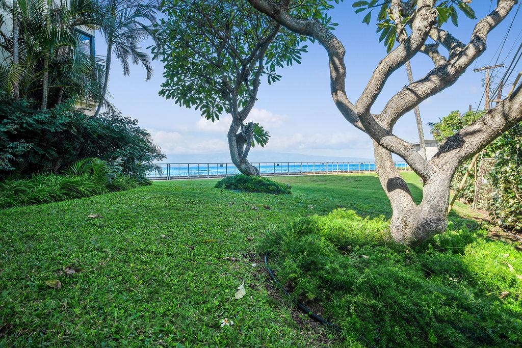 4401 Lower Honoapiilani Rd Property Photo 24