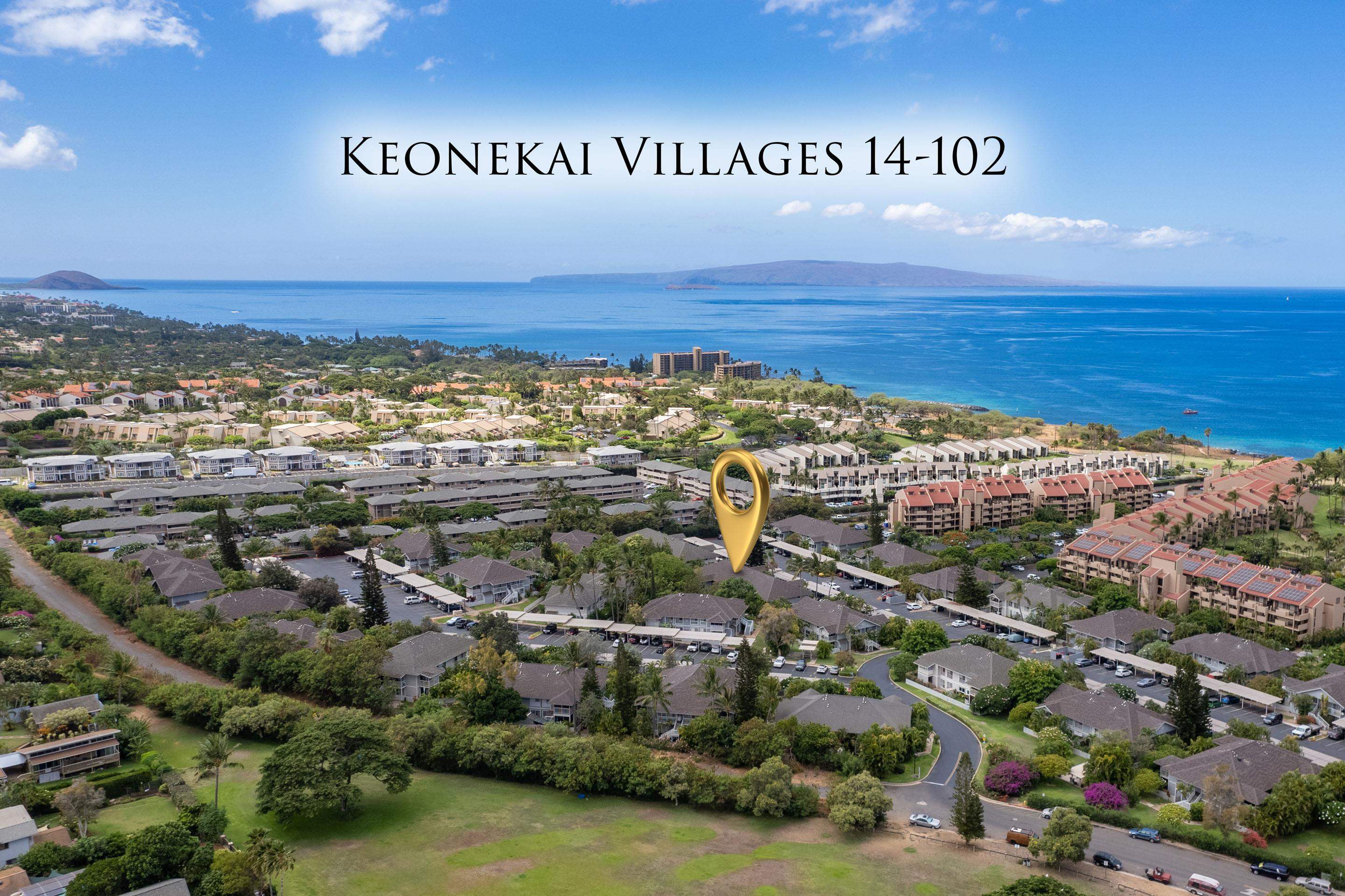 160 Keonekai Rd Property Photo