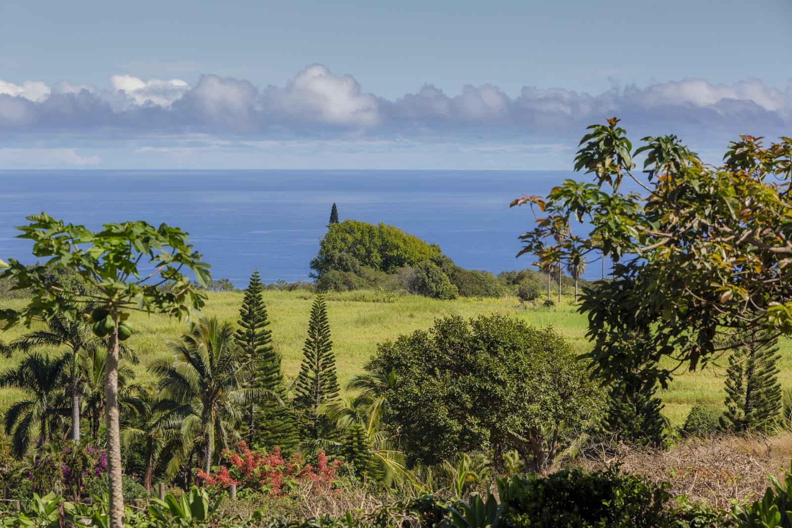 555 Kaukini Loop Property Photo 8