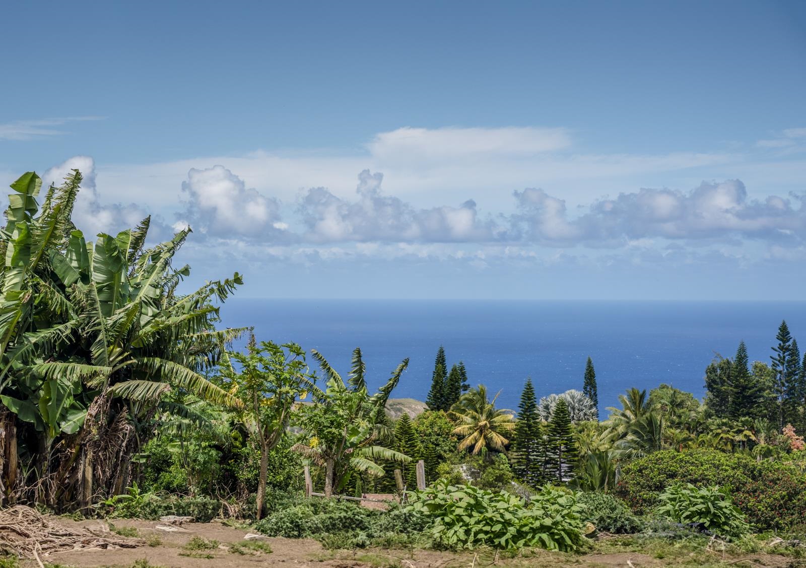 555 Kaukini Loop Property Photo 45
