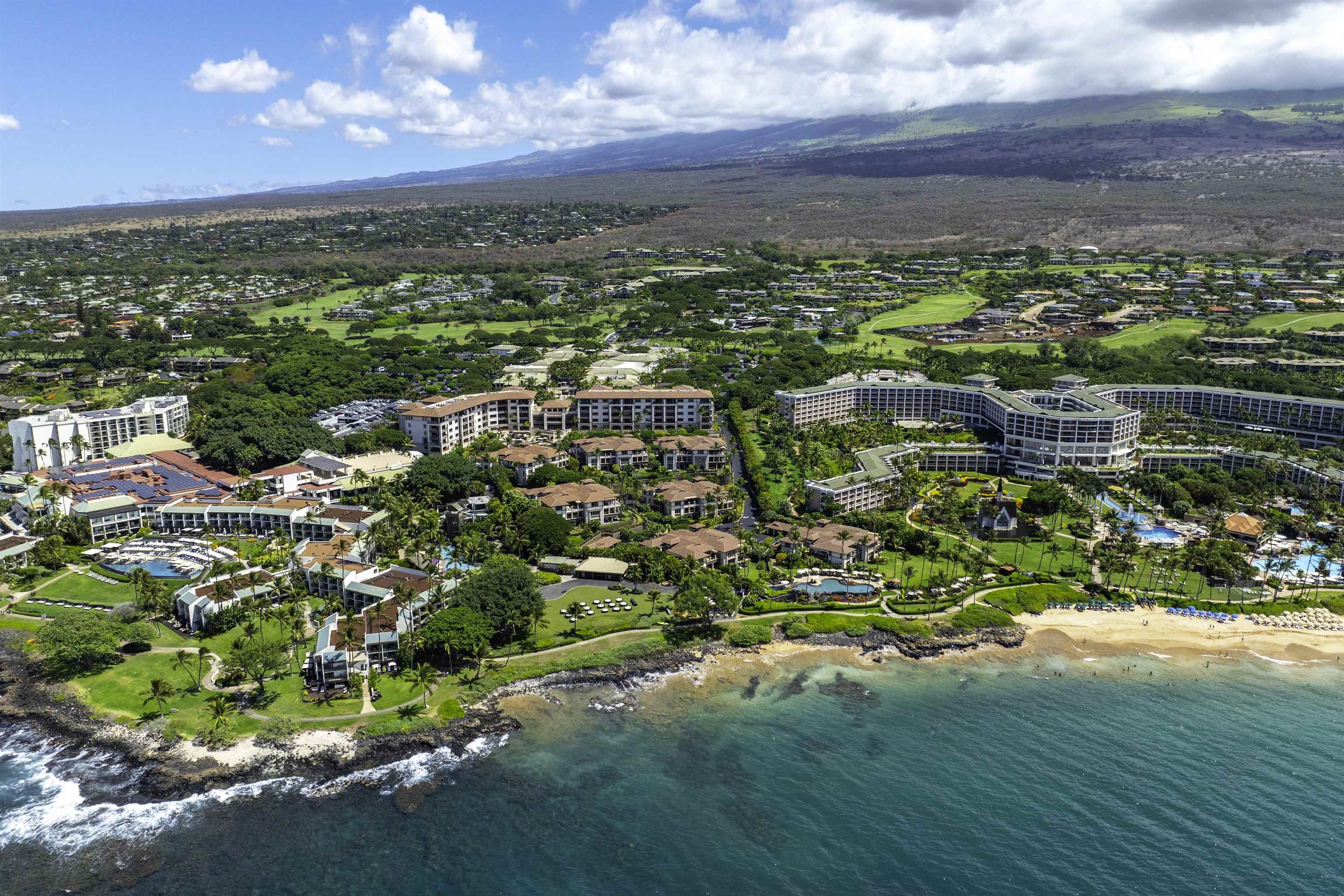 3800 Wailea Alanui Blvd Property Photo 21