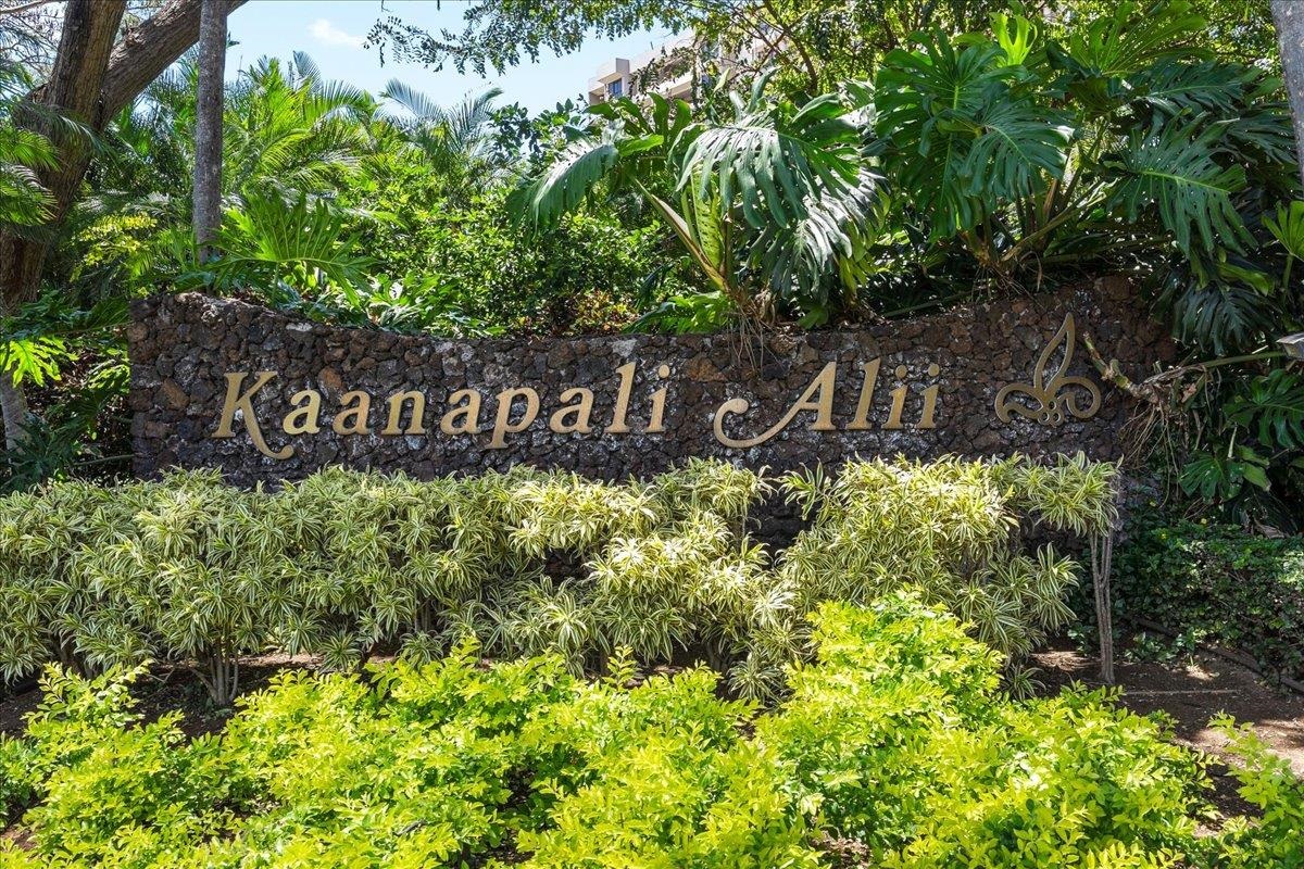 50 Nohea Kai Dr Property Photo 4