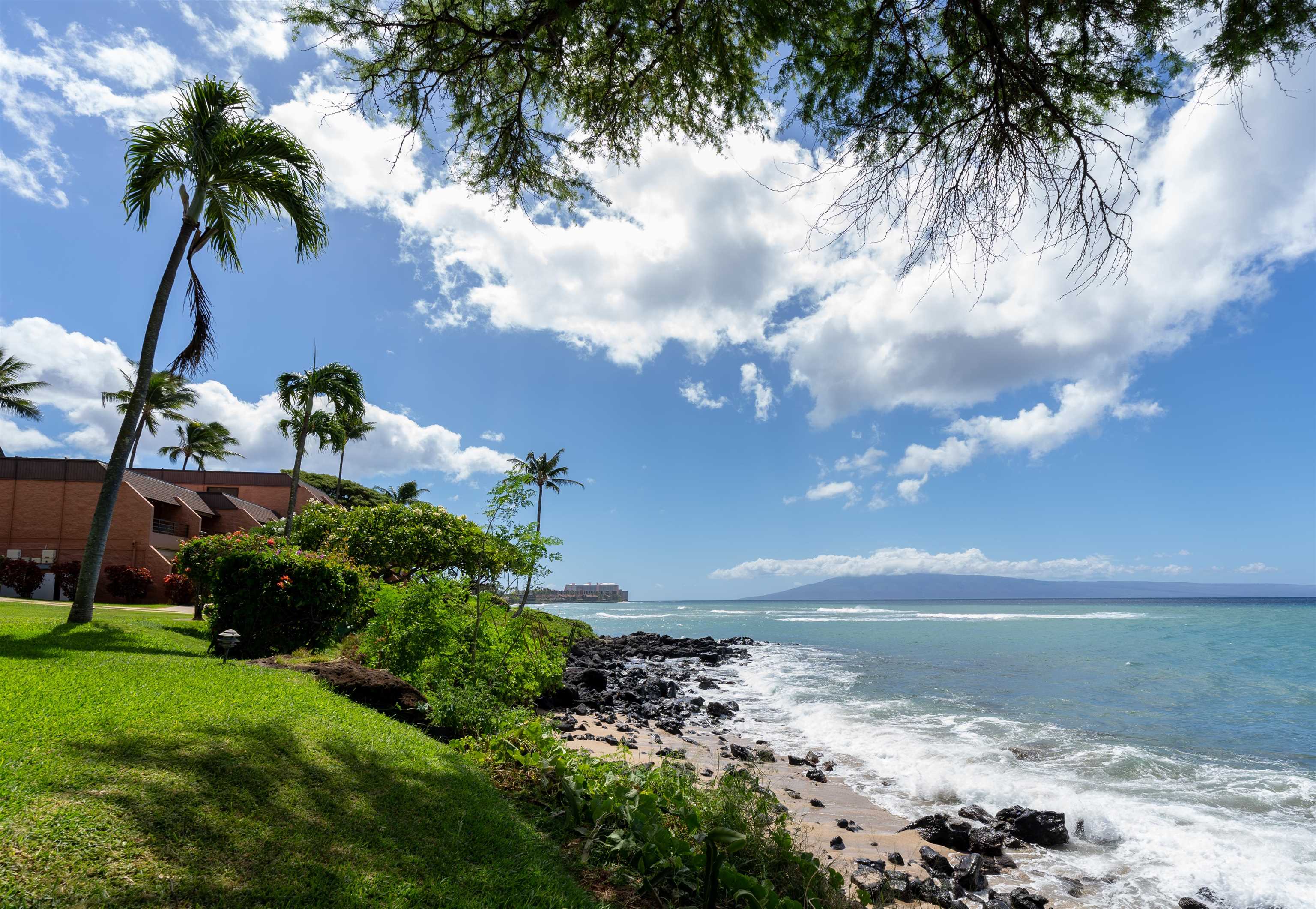 3959 Lower Honoapiilani Rd Property Photo 19