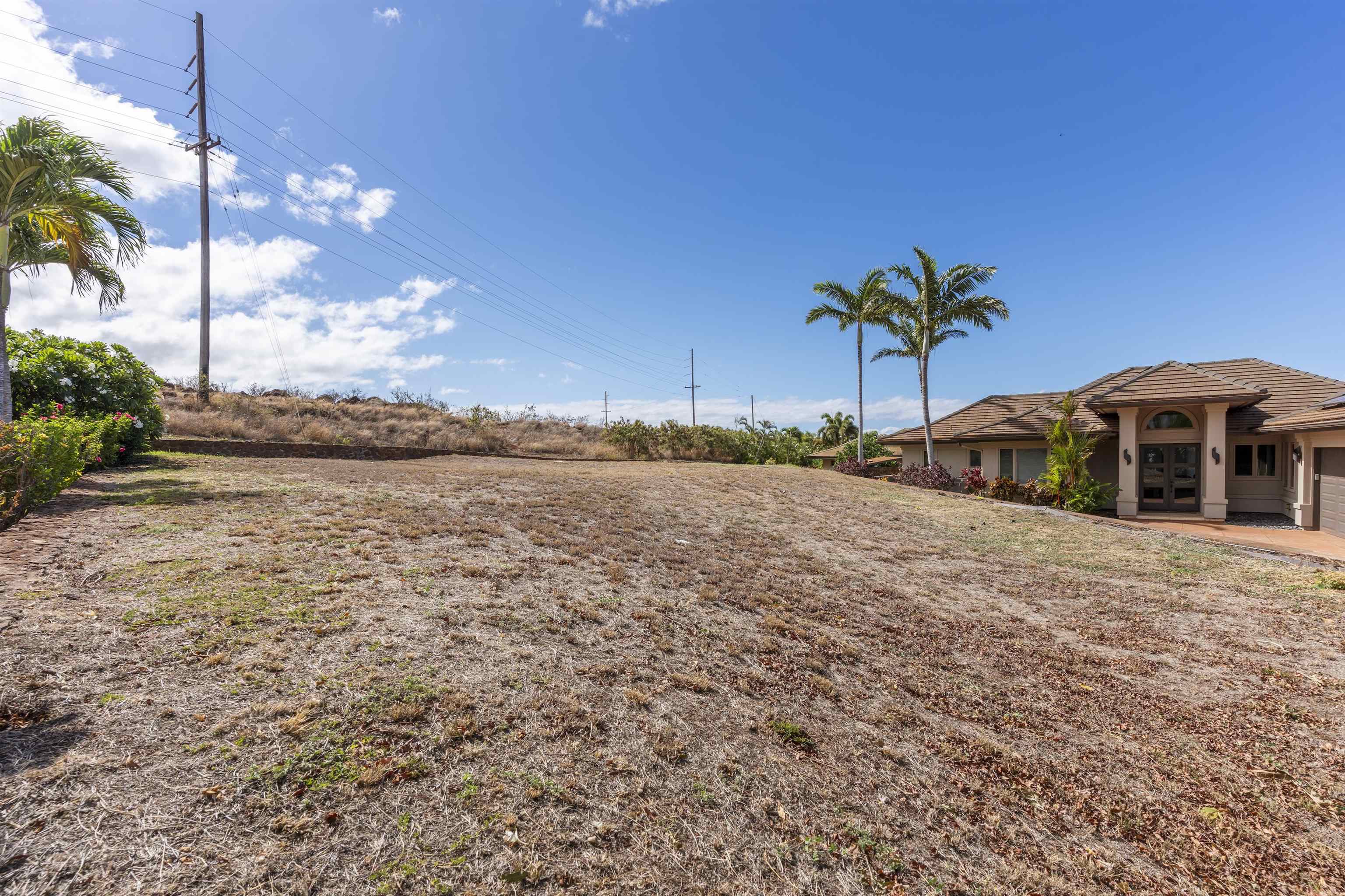 411 Wekiu Pl Property Photo 9