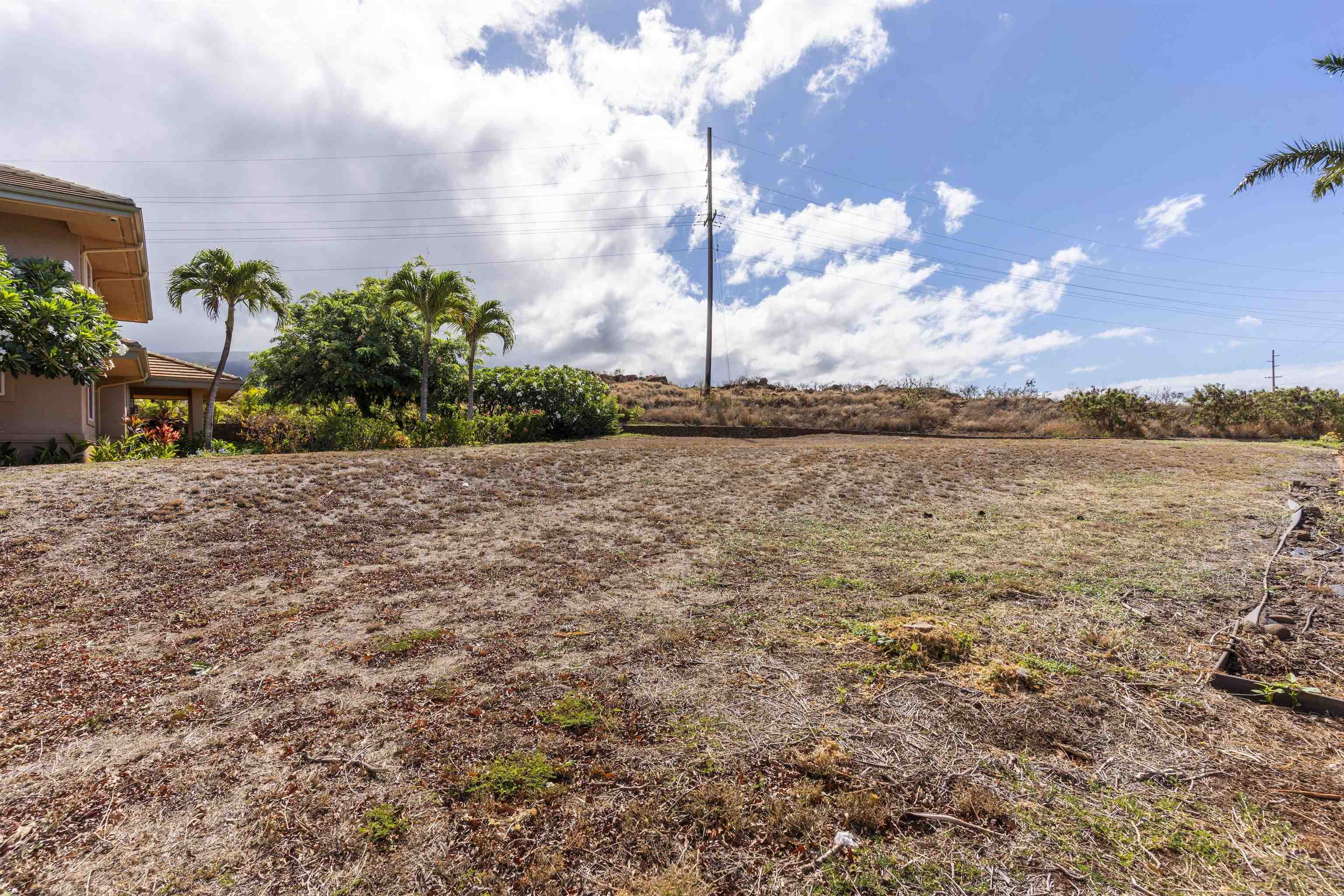 411 Wekiu Pl Property Photo 10