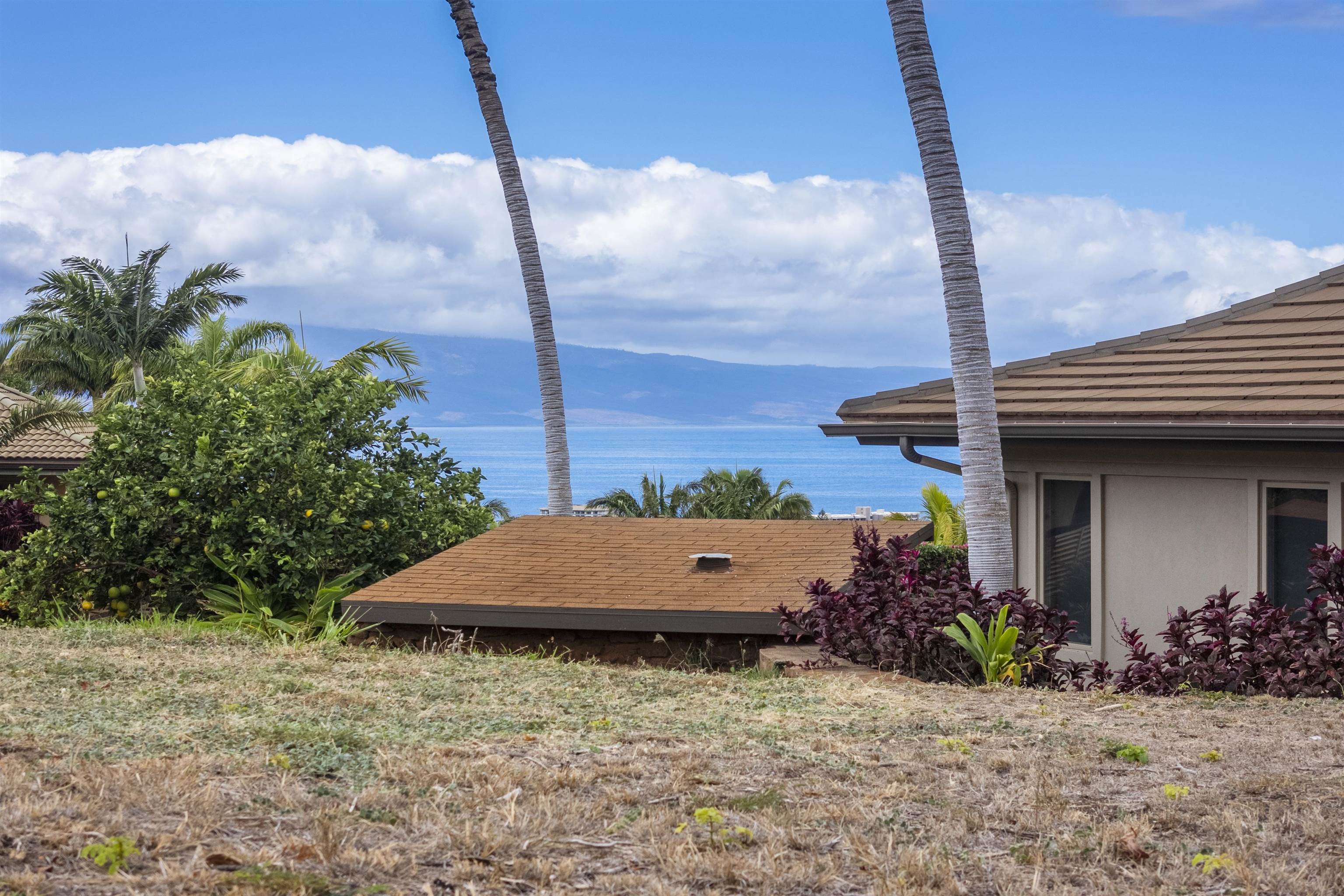 411 Wekiu Pl Property Photo 14